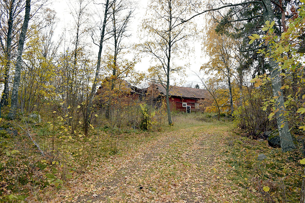 Bt136-skogsväg mot ladan