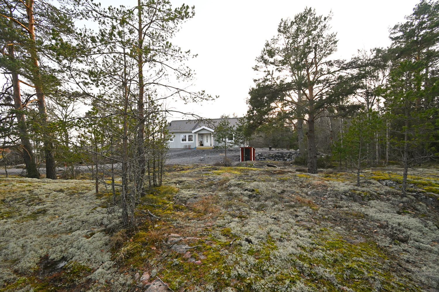 Från tomten mot väster