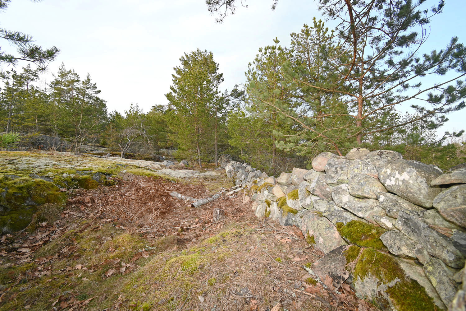 Stengärdesgård