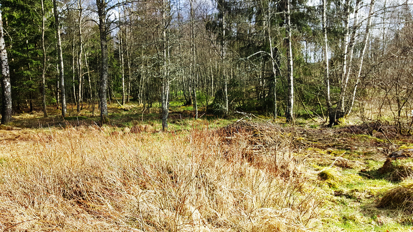 Obj.Nr. DK1583
