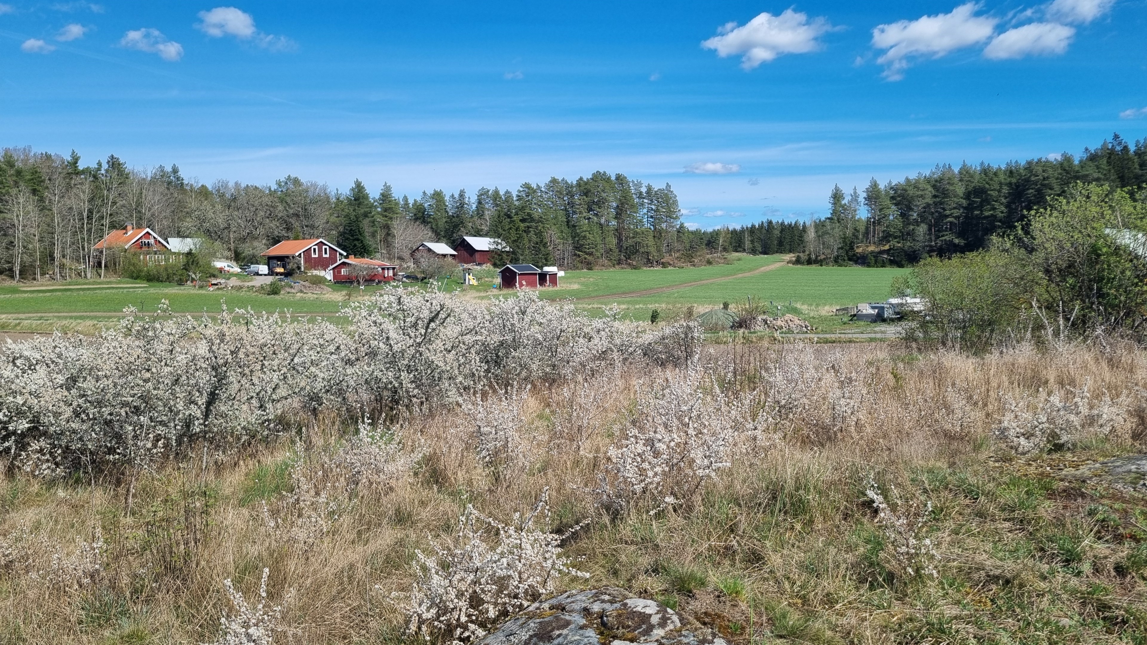 ...också på berget...