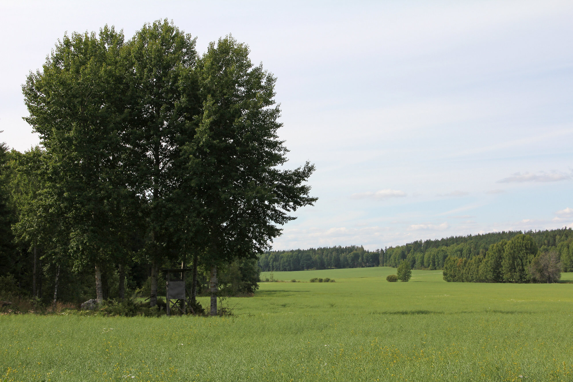 SÅLD Skogsfastighet 234 ha Rö, Norrtälje kommun