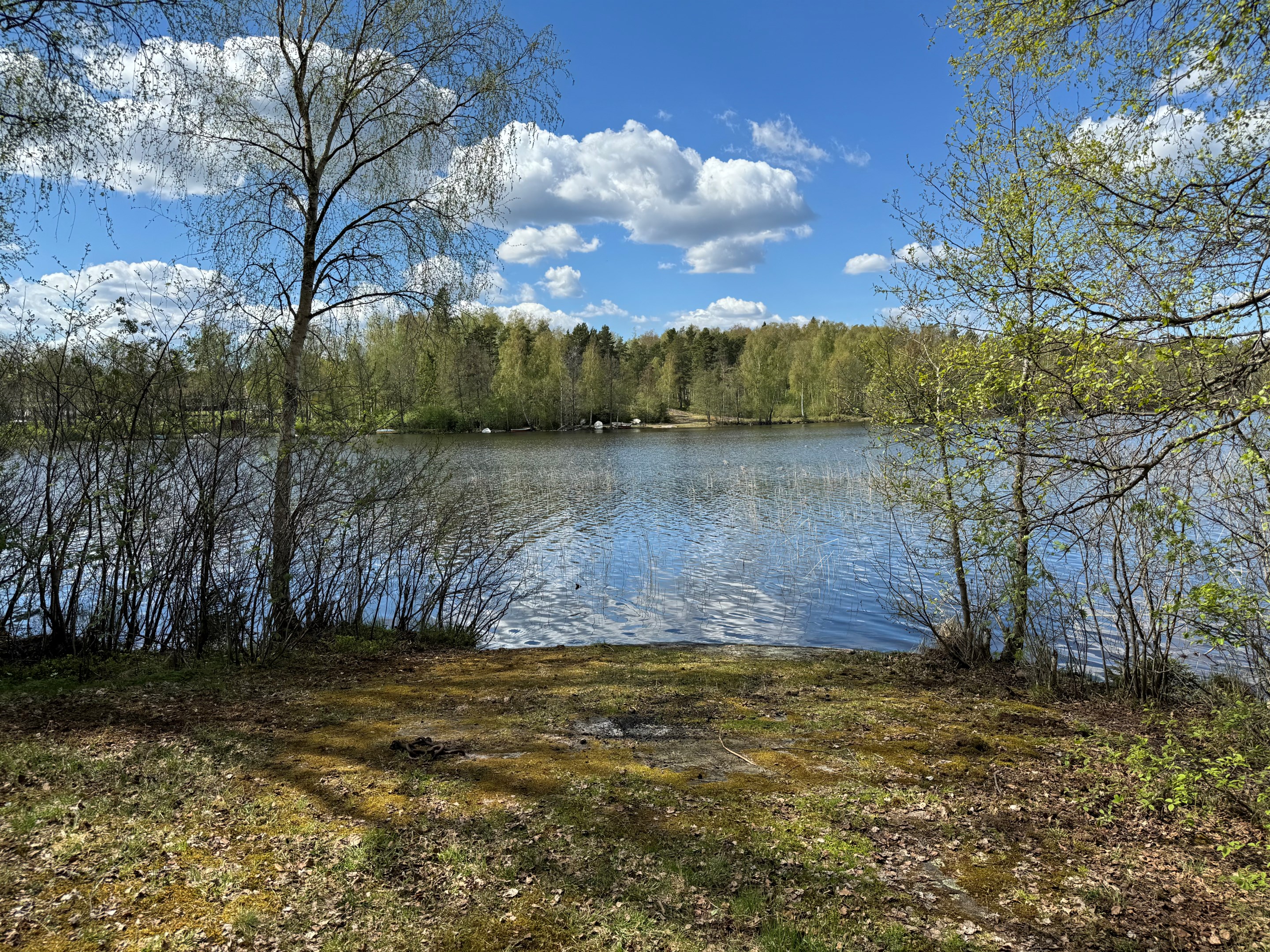 Berg vid Nykvarnsvikens östra del