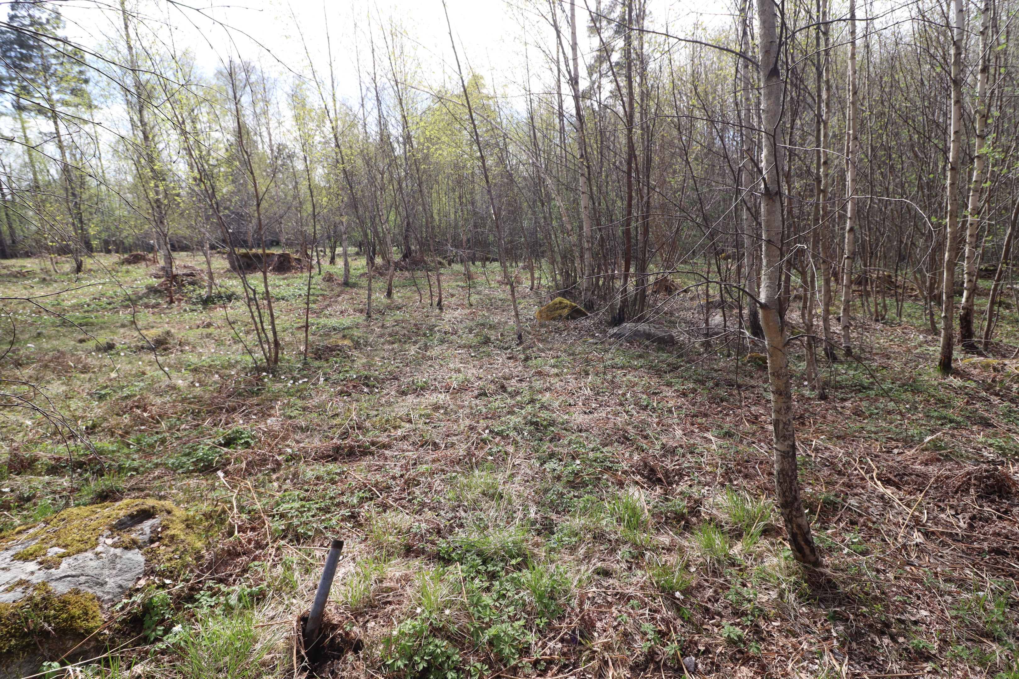 Obebyggd tomt Rånäs 4:88 som övelåtes samtidigt till köparen av marken eller annan köpare