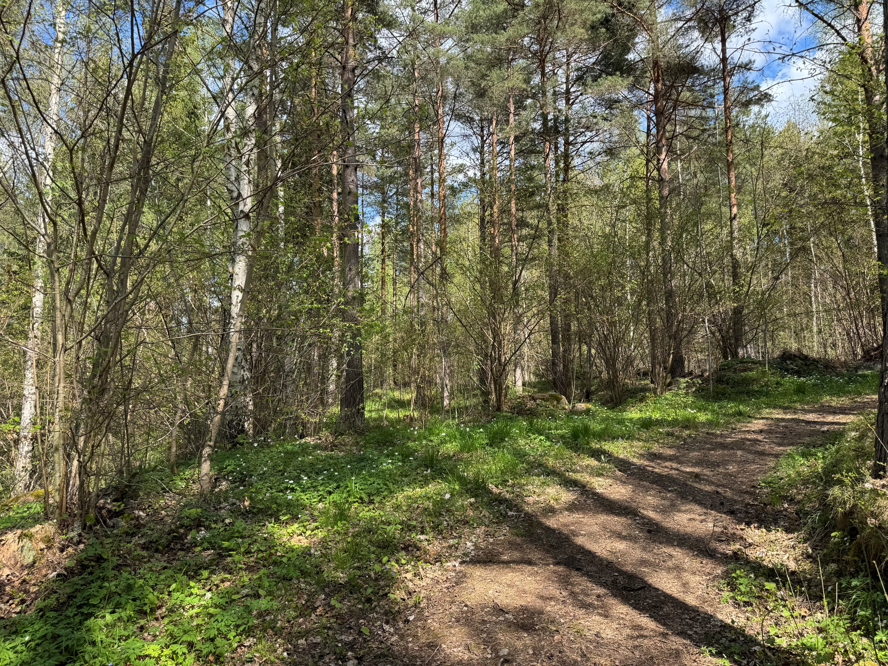 Motionsspår över fastigheten