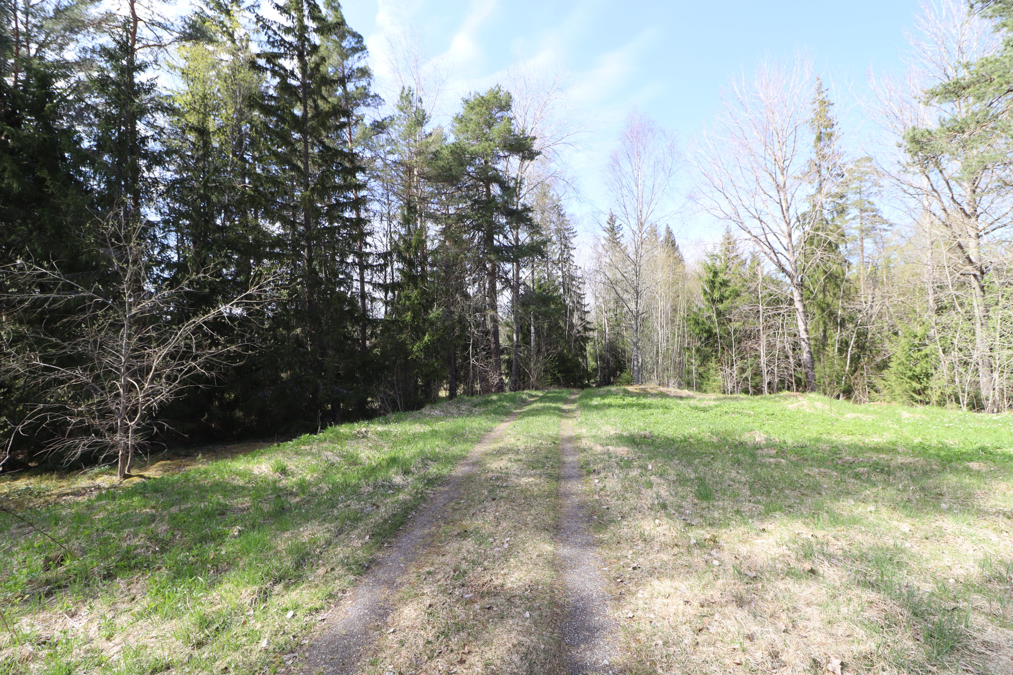 Väg in på fastigheten i östra delen