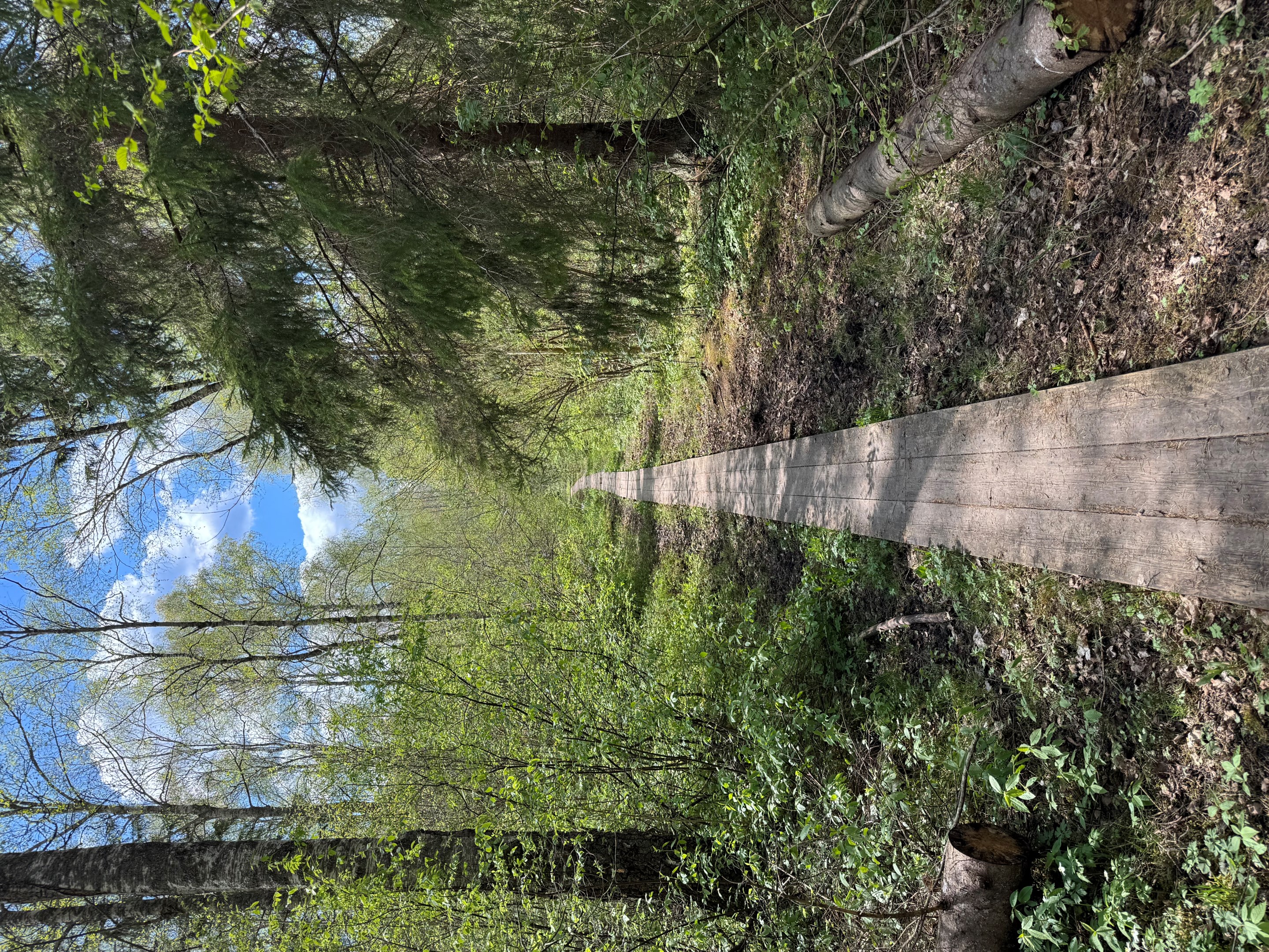 Gångstig mot Rånäs