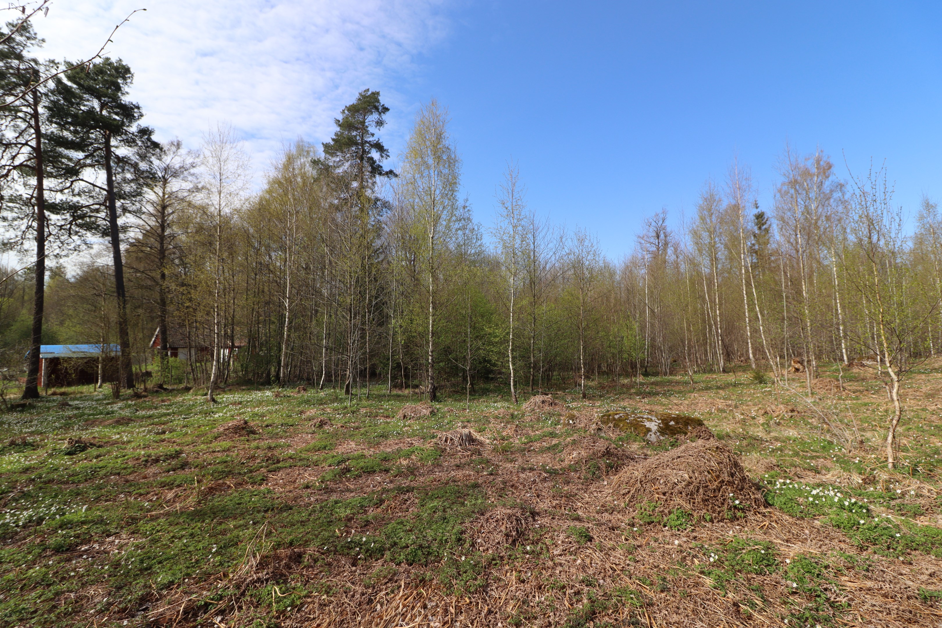 Obebyggd tomt Rånäs 4:88