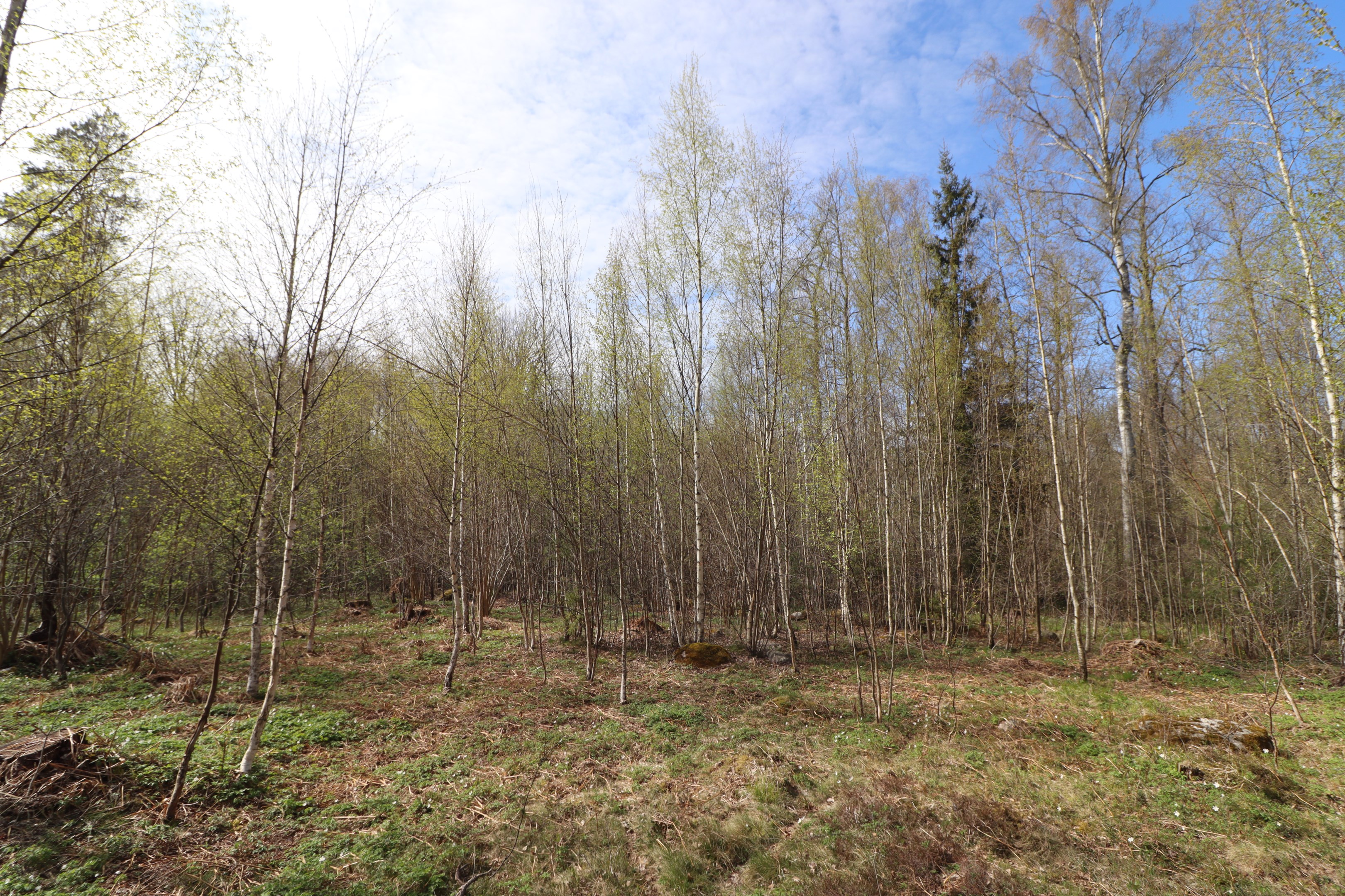 Obebyggd tomt Rånäs 4:88