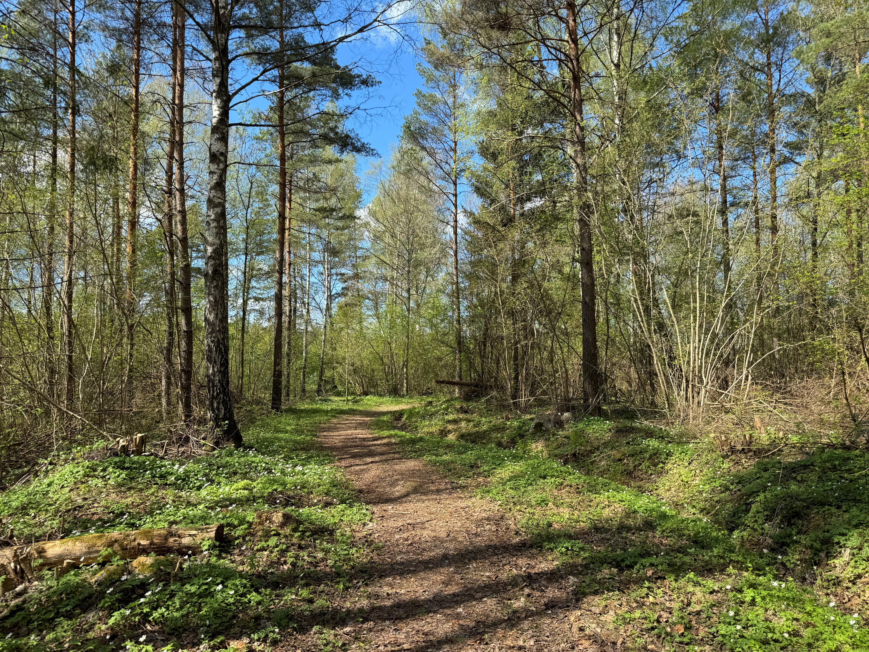 Motionsspår över fastigheten