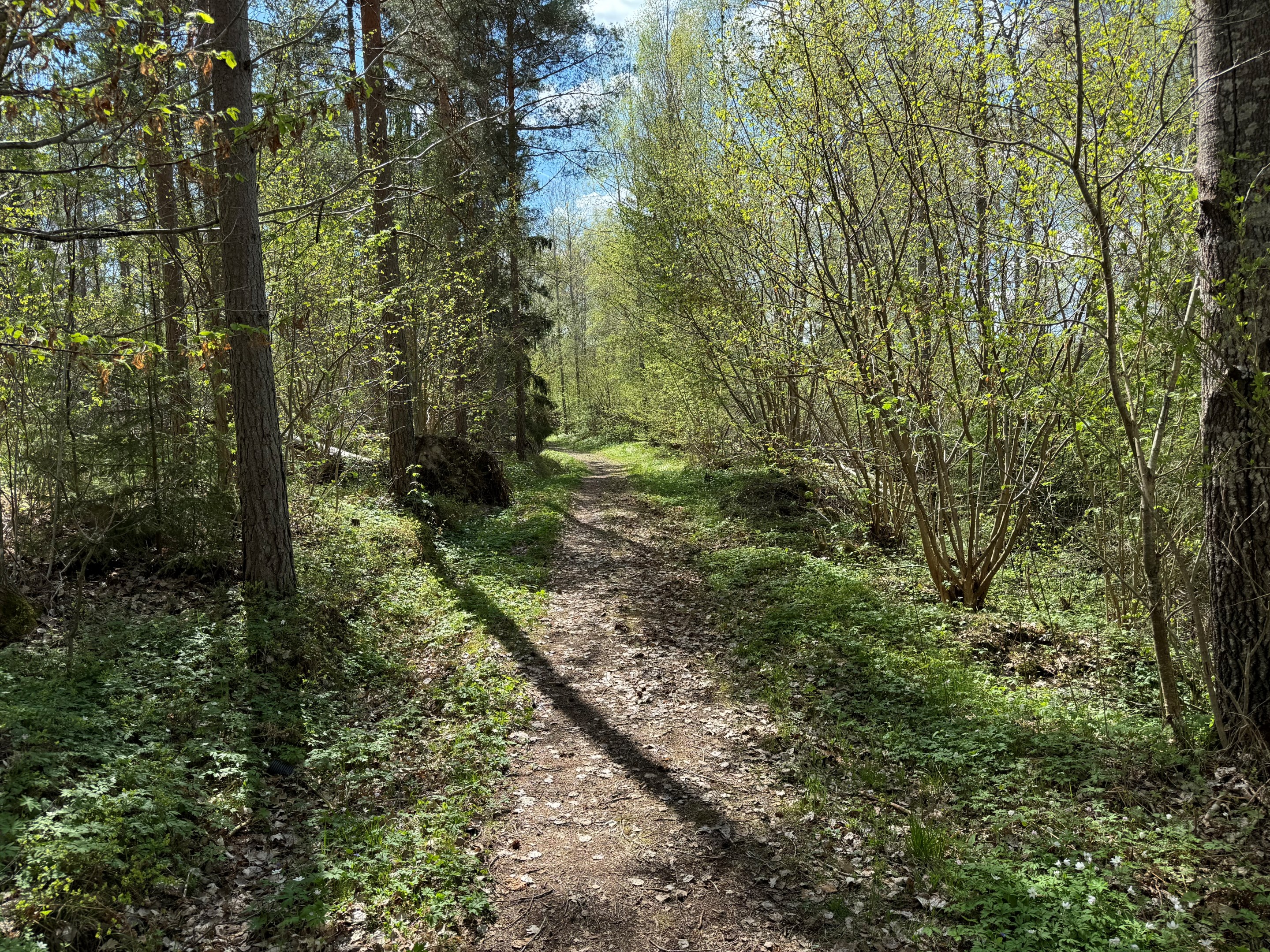 Motionsspår över fastigheten