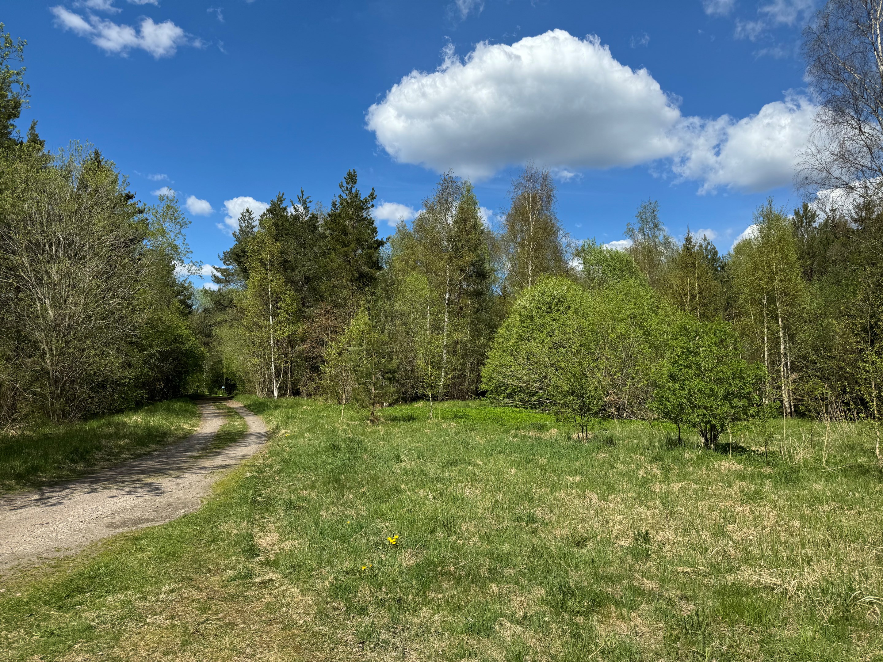 Mark mot Rånäs samhälle