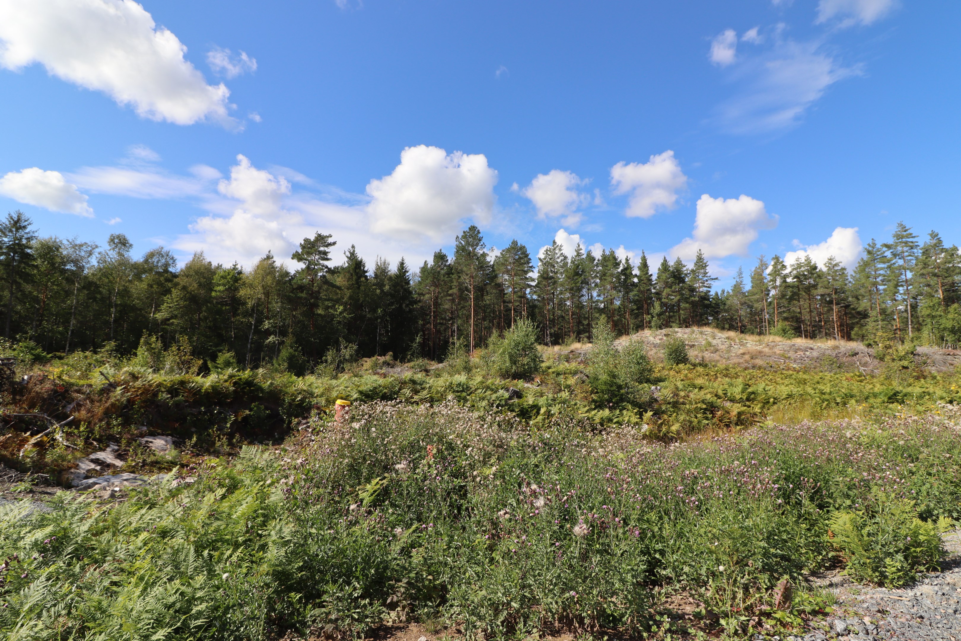 Harens väg 22 (Burvik 7:130)
