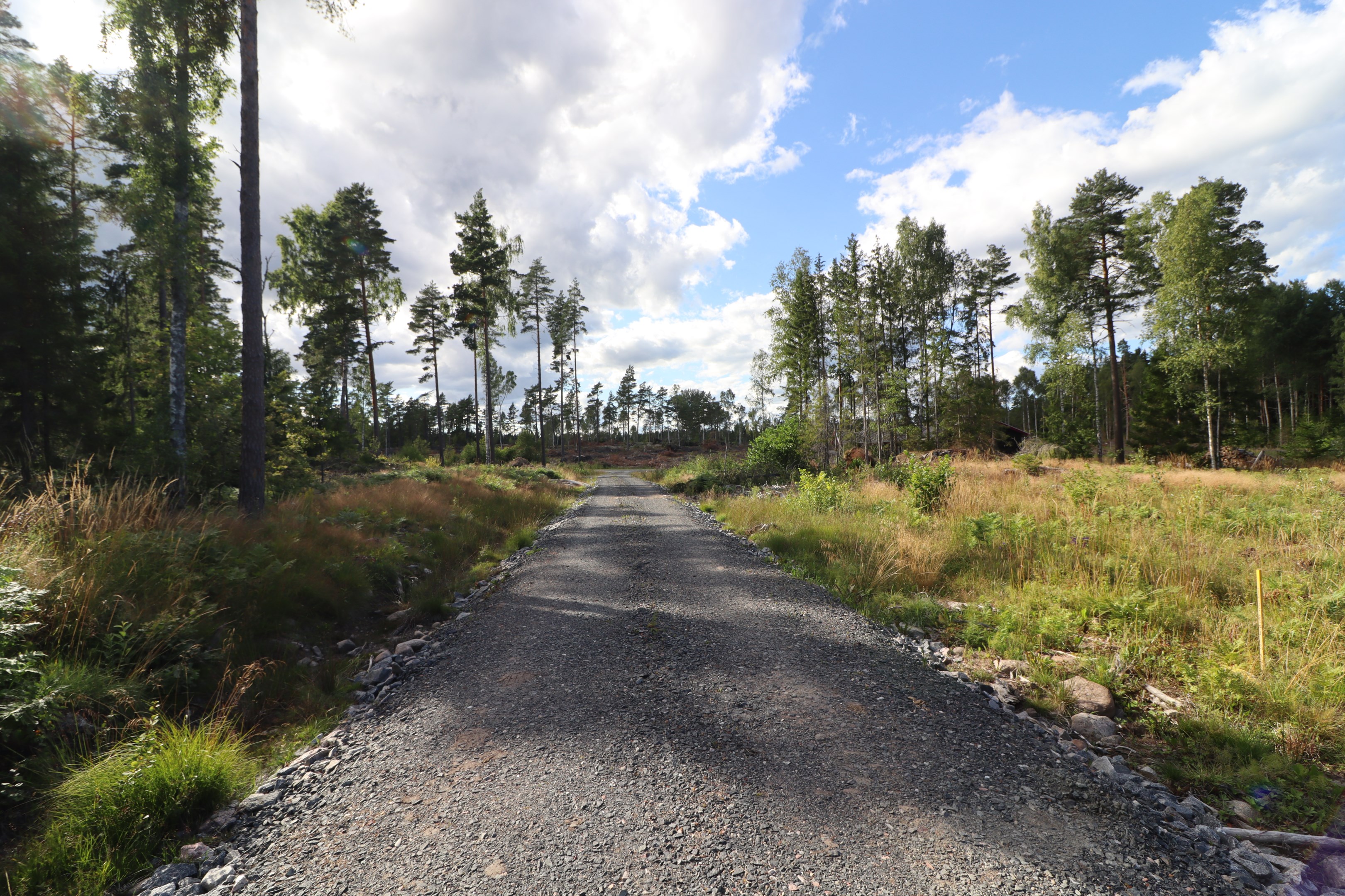 Väg fram till tomten finns
