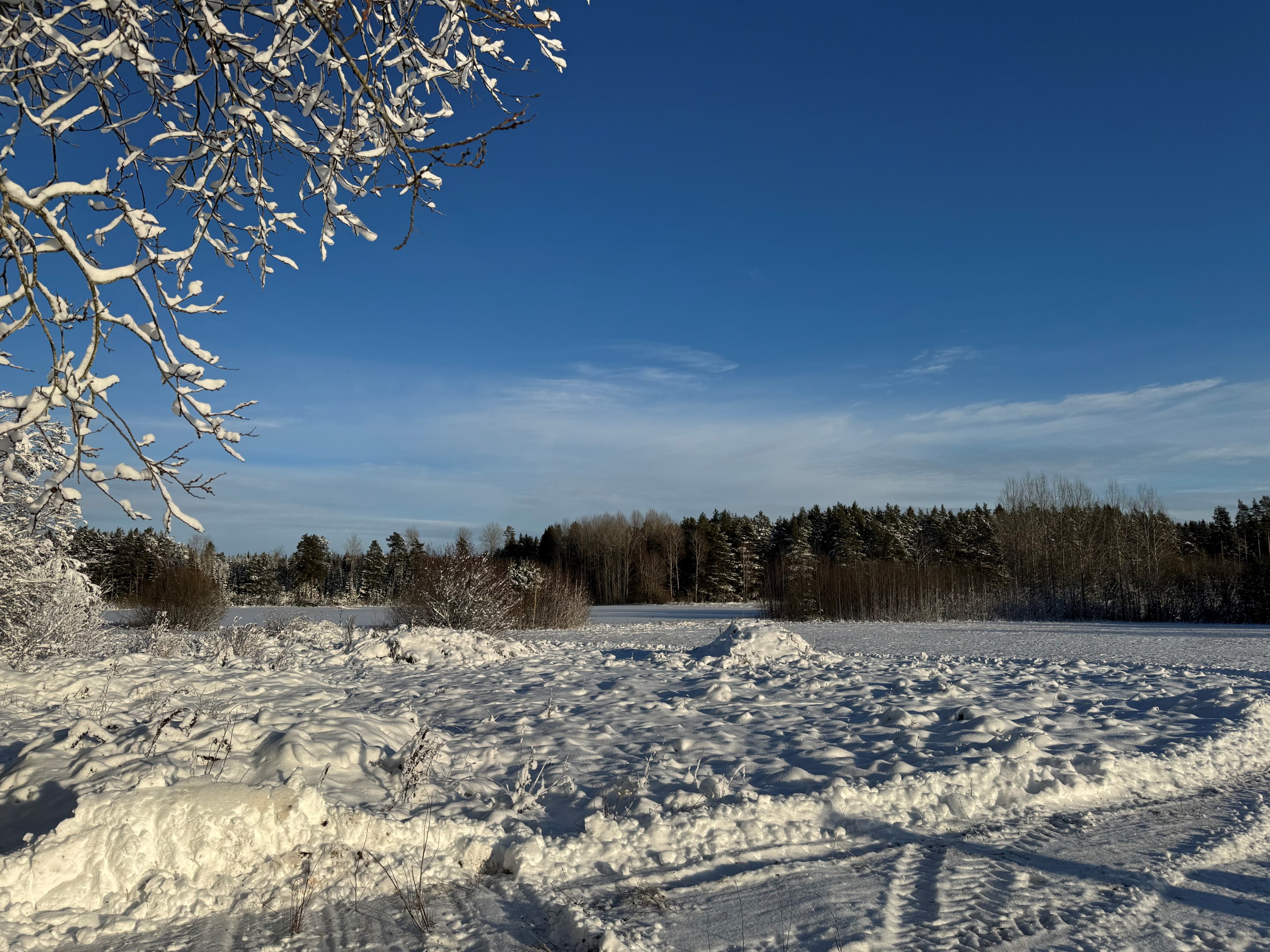 Vinterbild 2024-11-22
