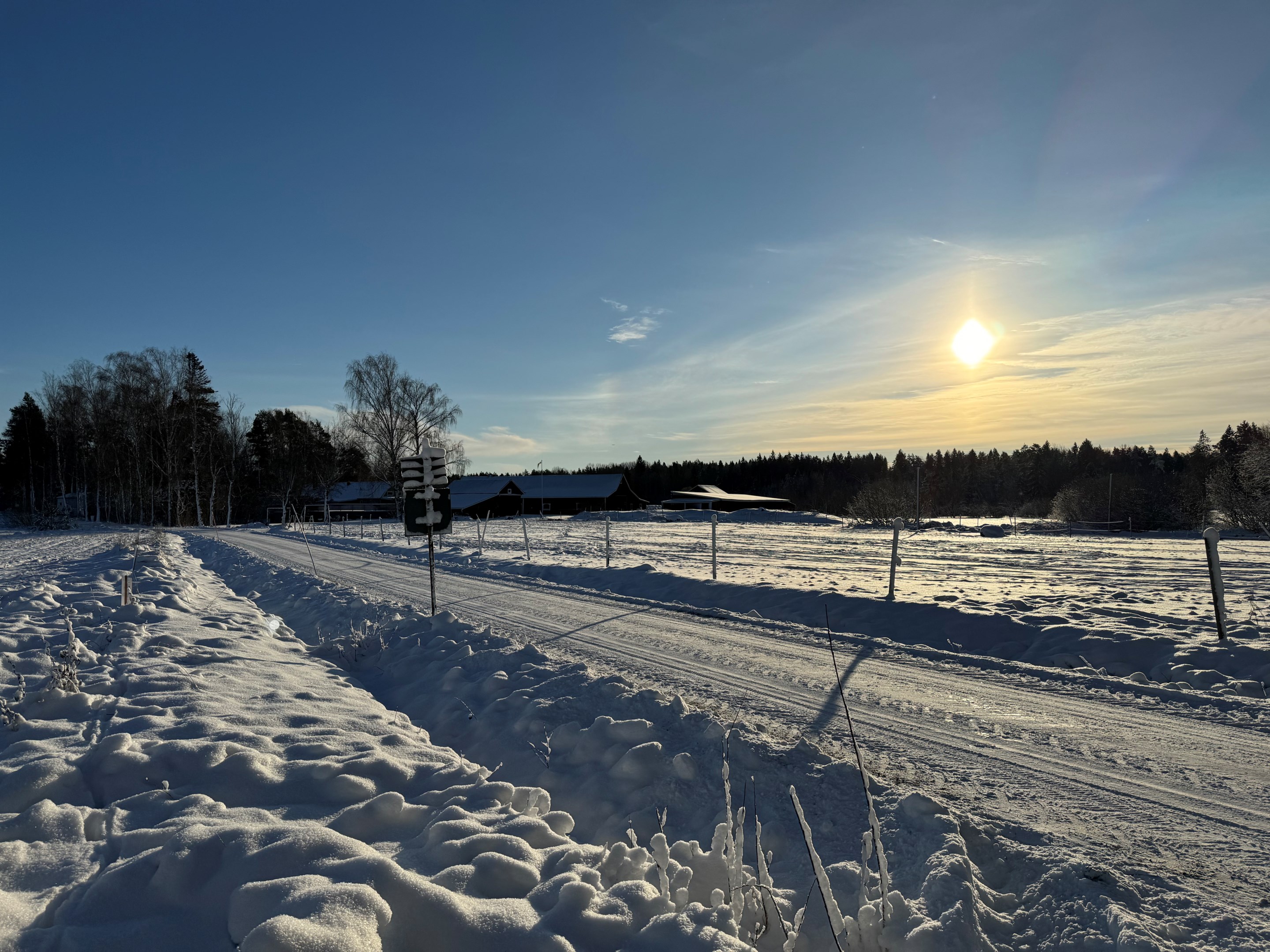Vinterbild 2024-11-22 utsikt från tomt