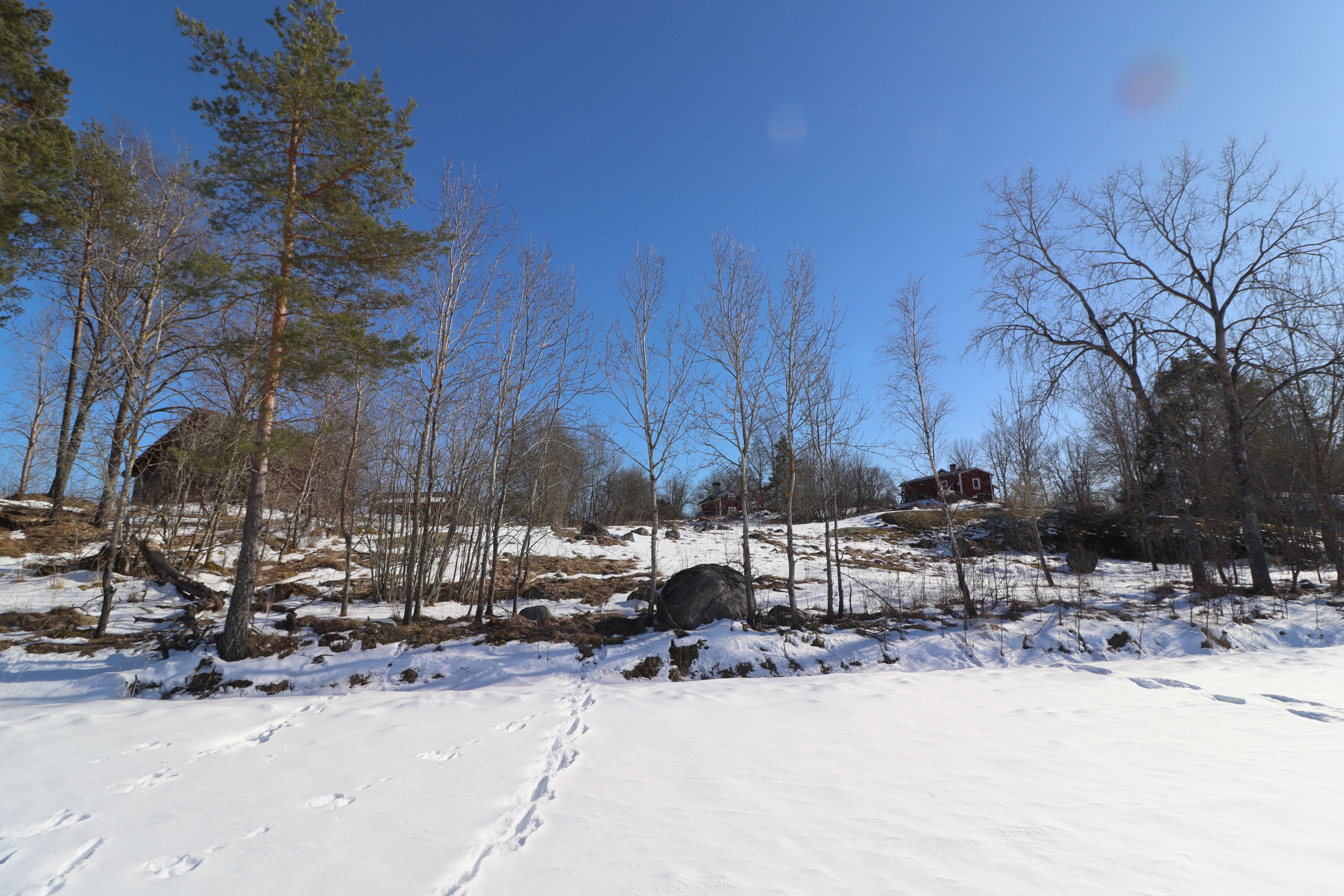 Tomterna mot åkerkanten