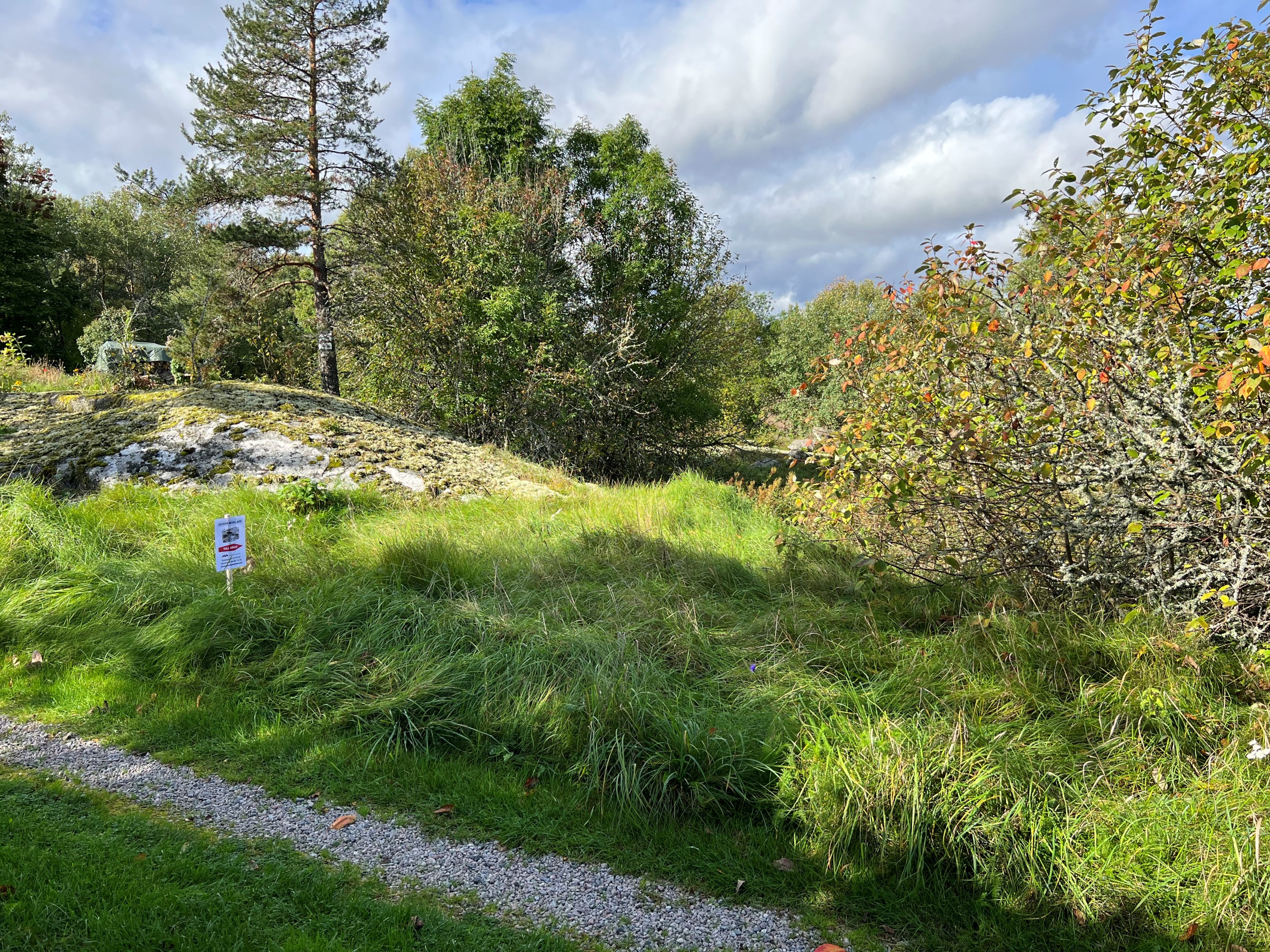 Infartsväg