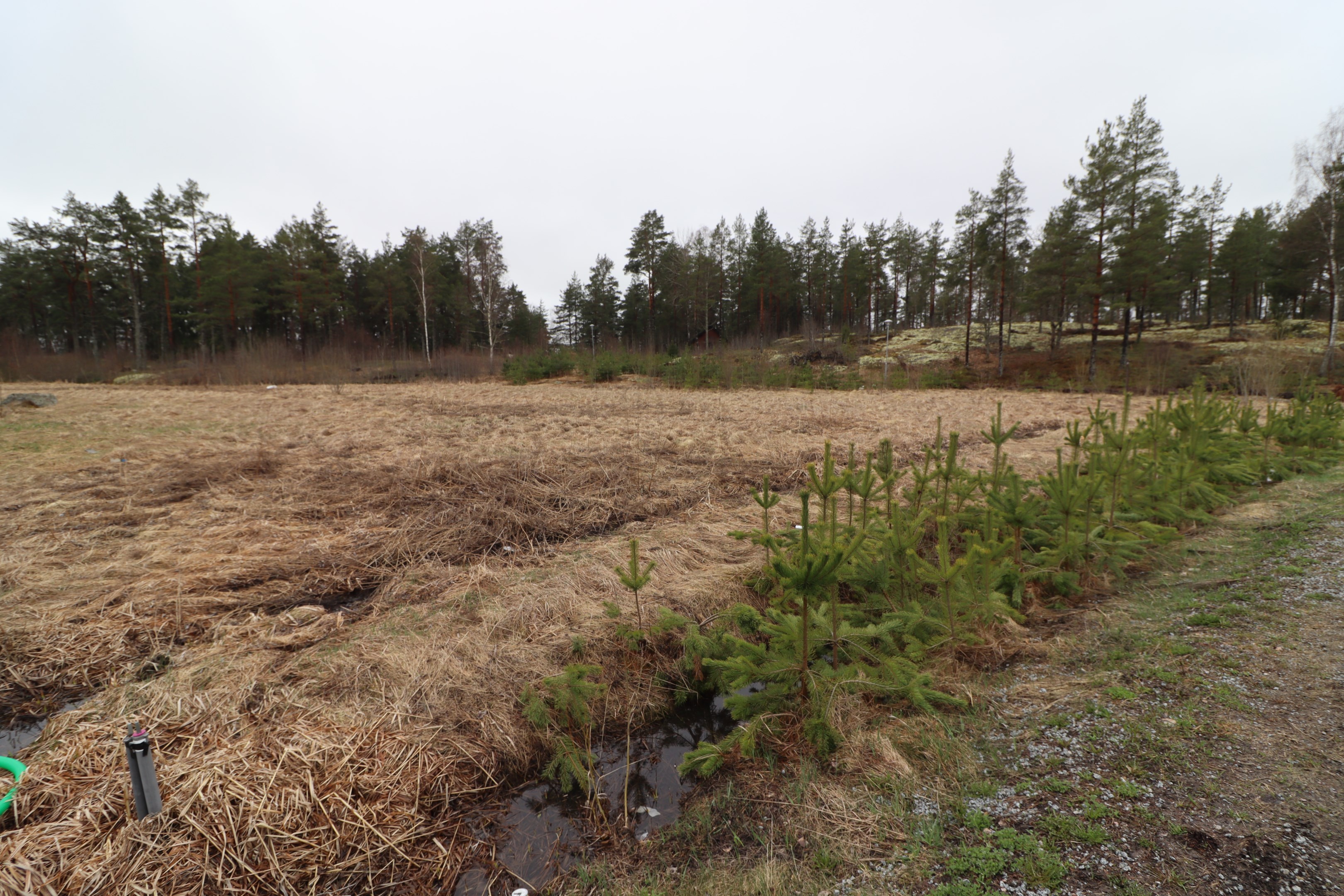 Plan naturtomt