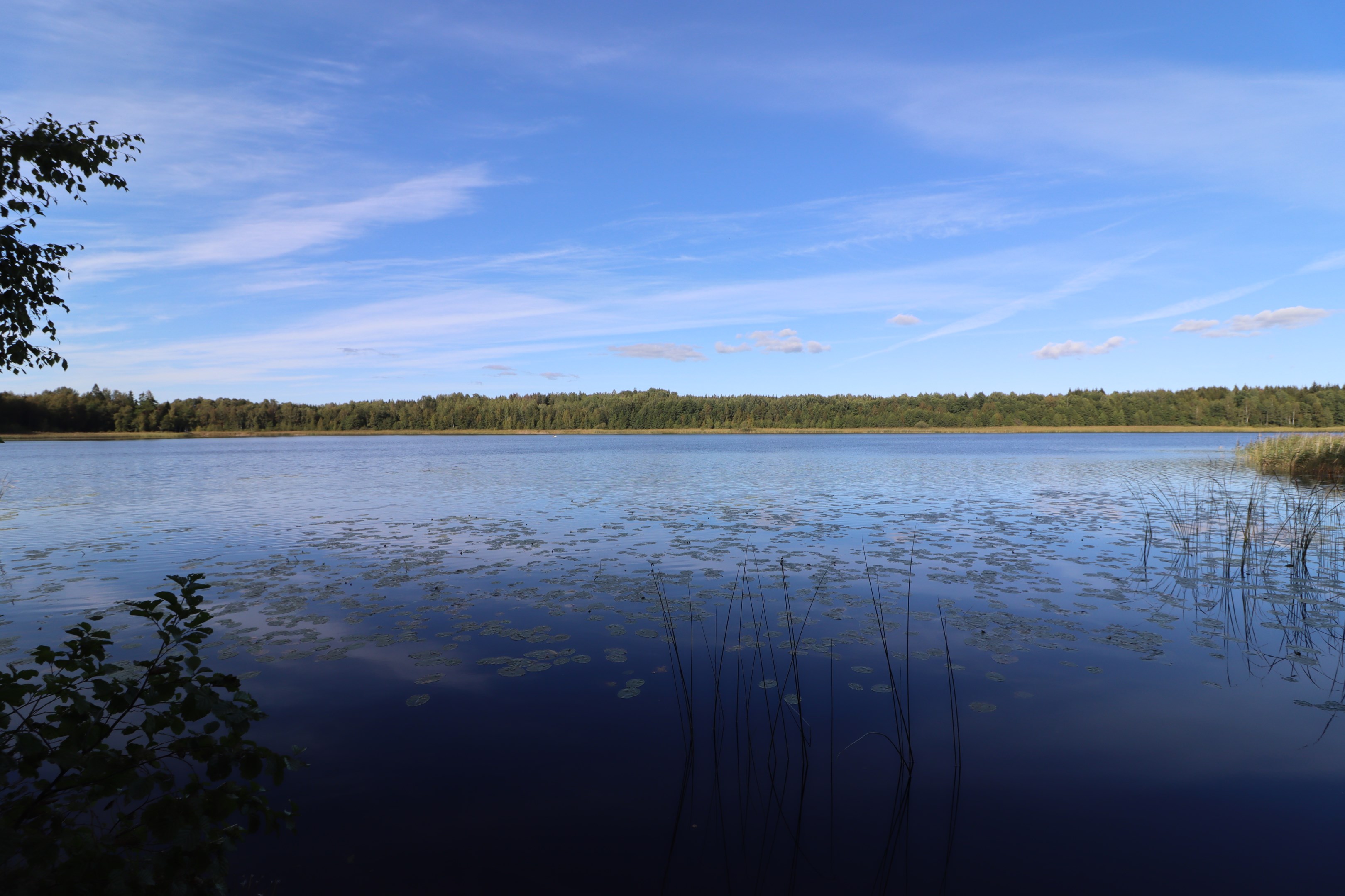 Storsjön i närområdet med sjösystem. Fina kanotmöjligheter