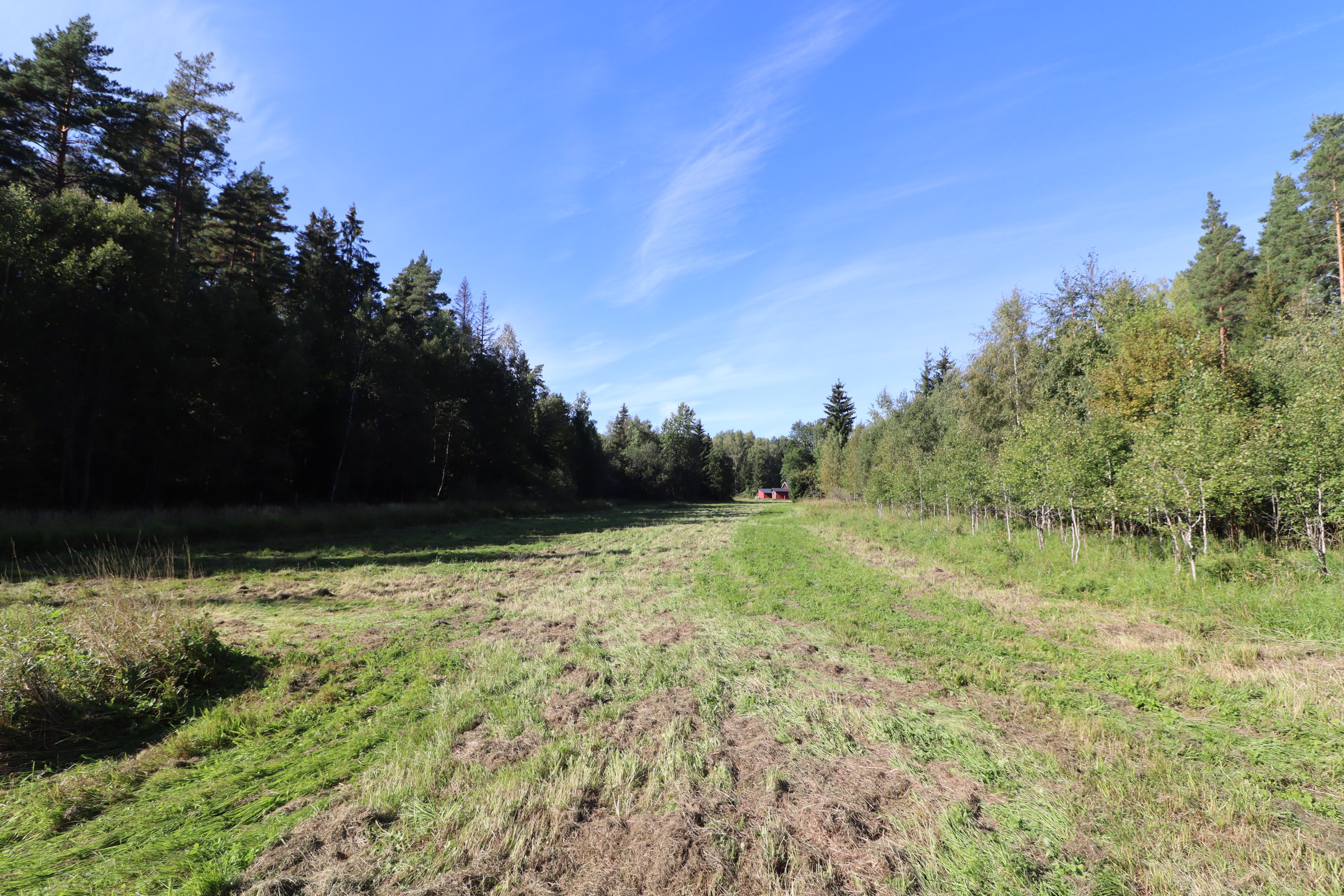 Åkermark / Bete