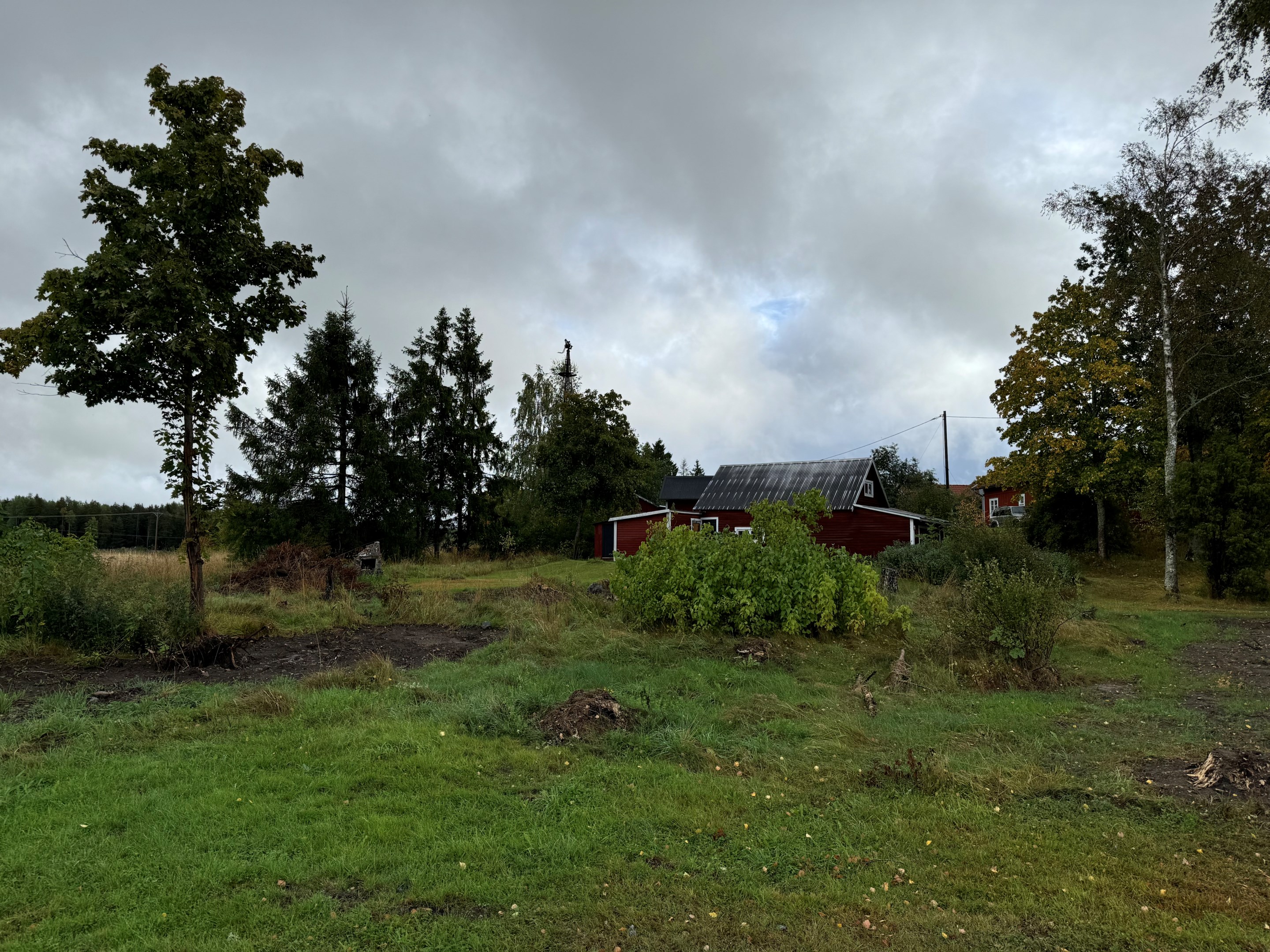 Tomten 2024-09-02