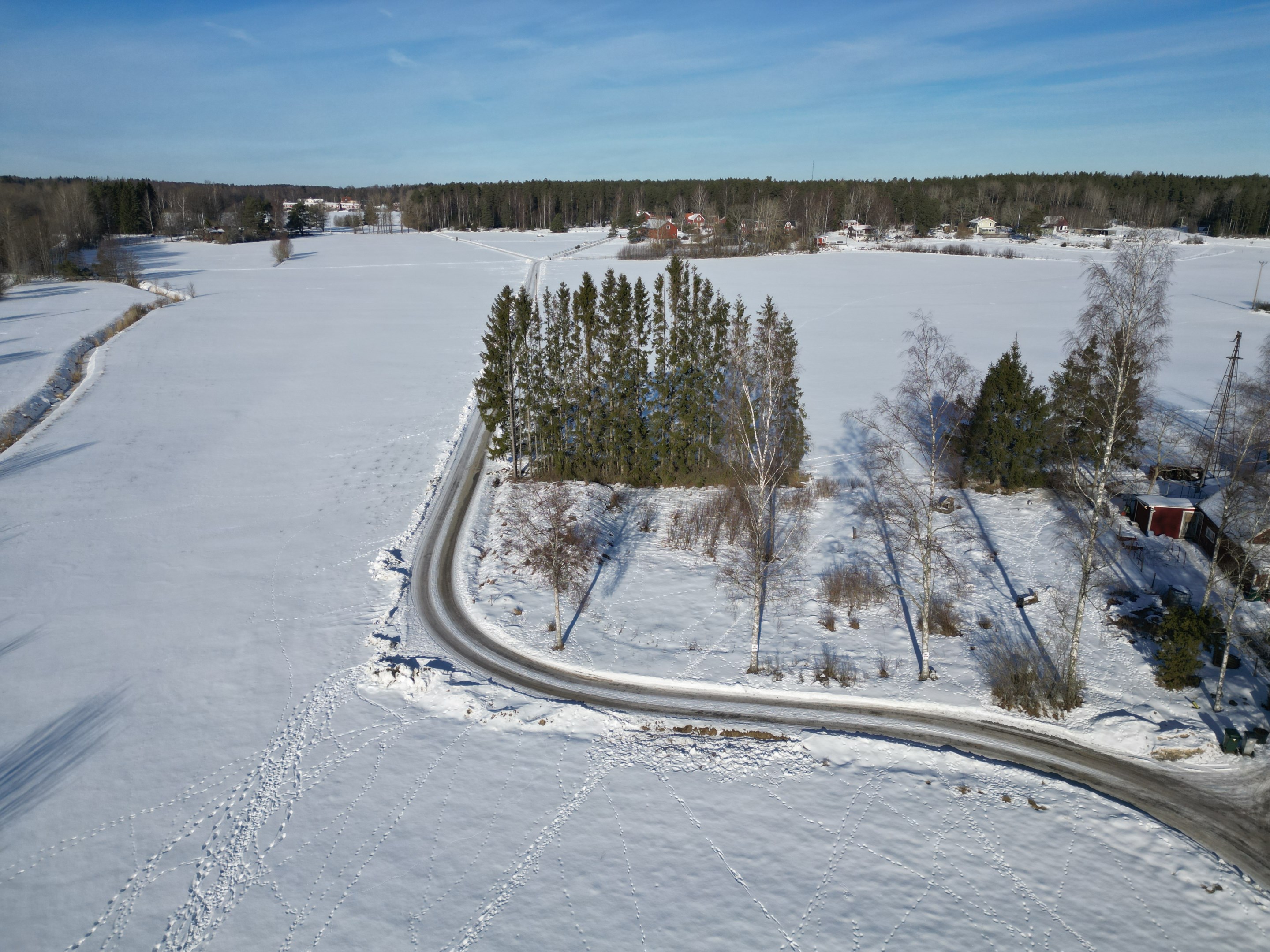 Naturtomt med öppet och ljust läge