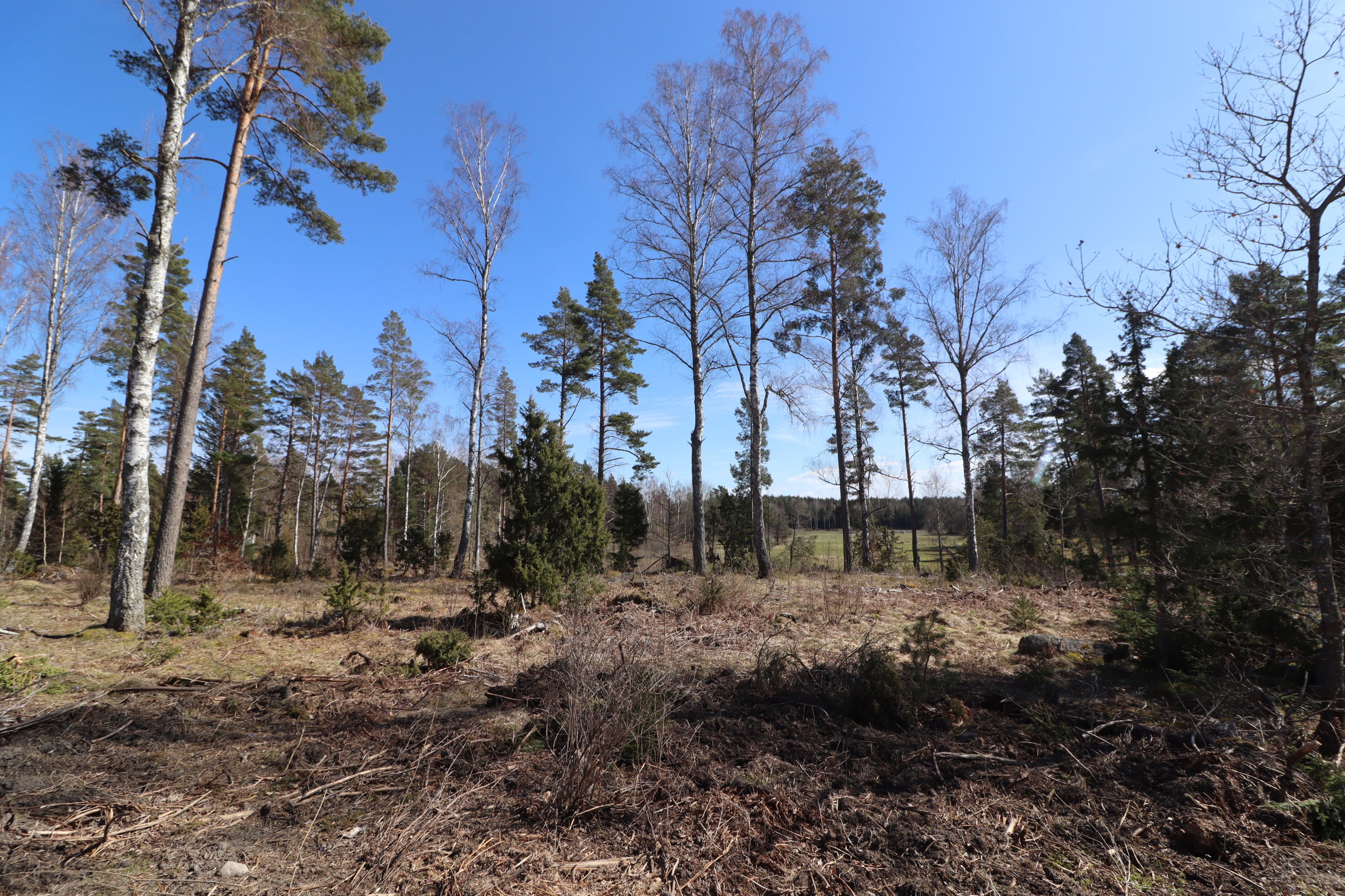 SÅLD Tomt Vängsjöberg 7:62