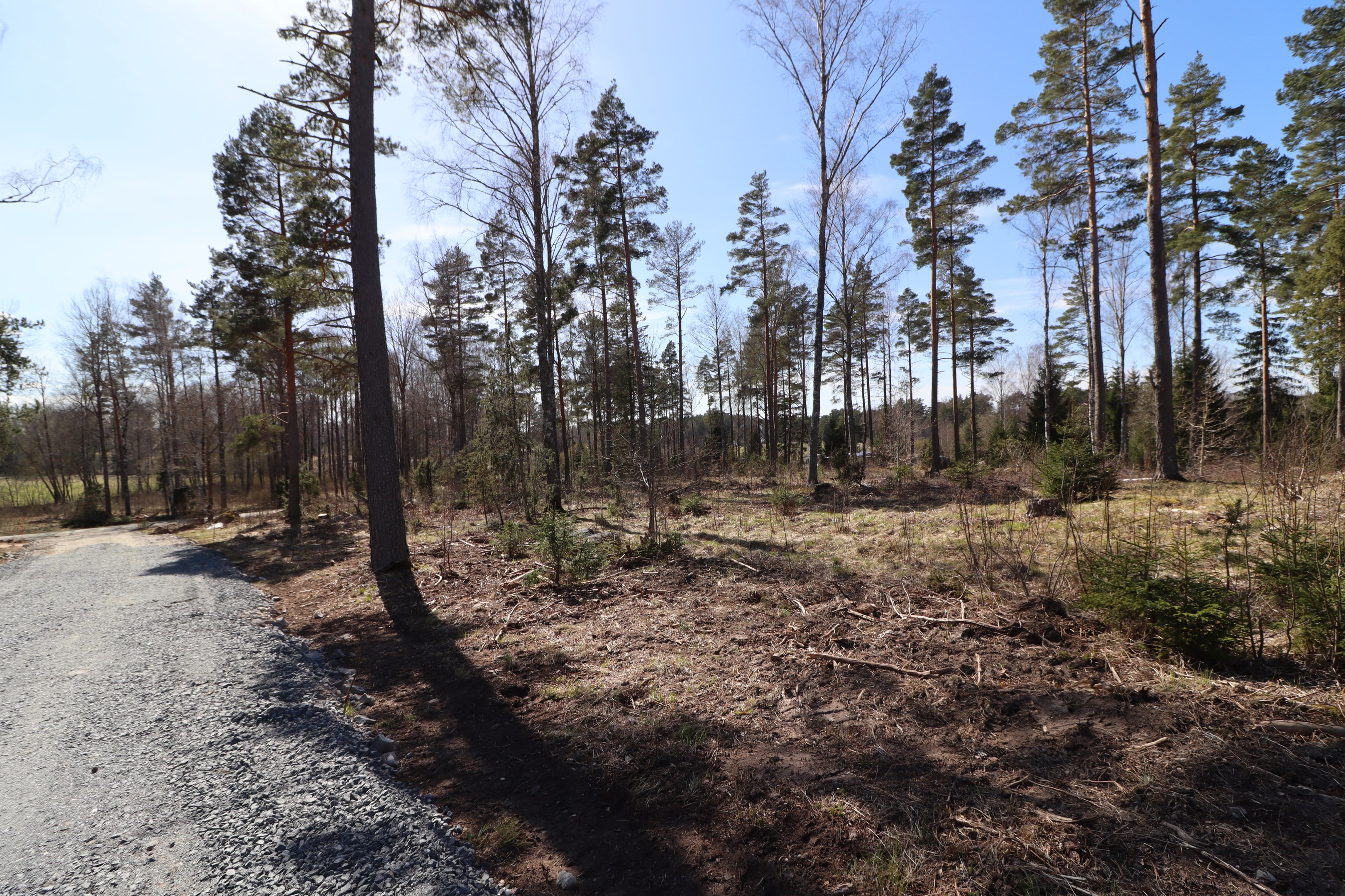 Tomt Vängsjöberg 7:61