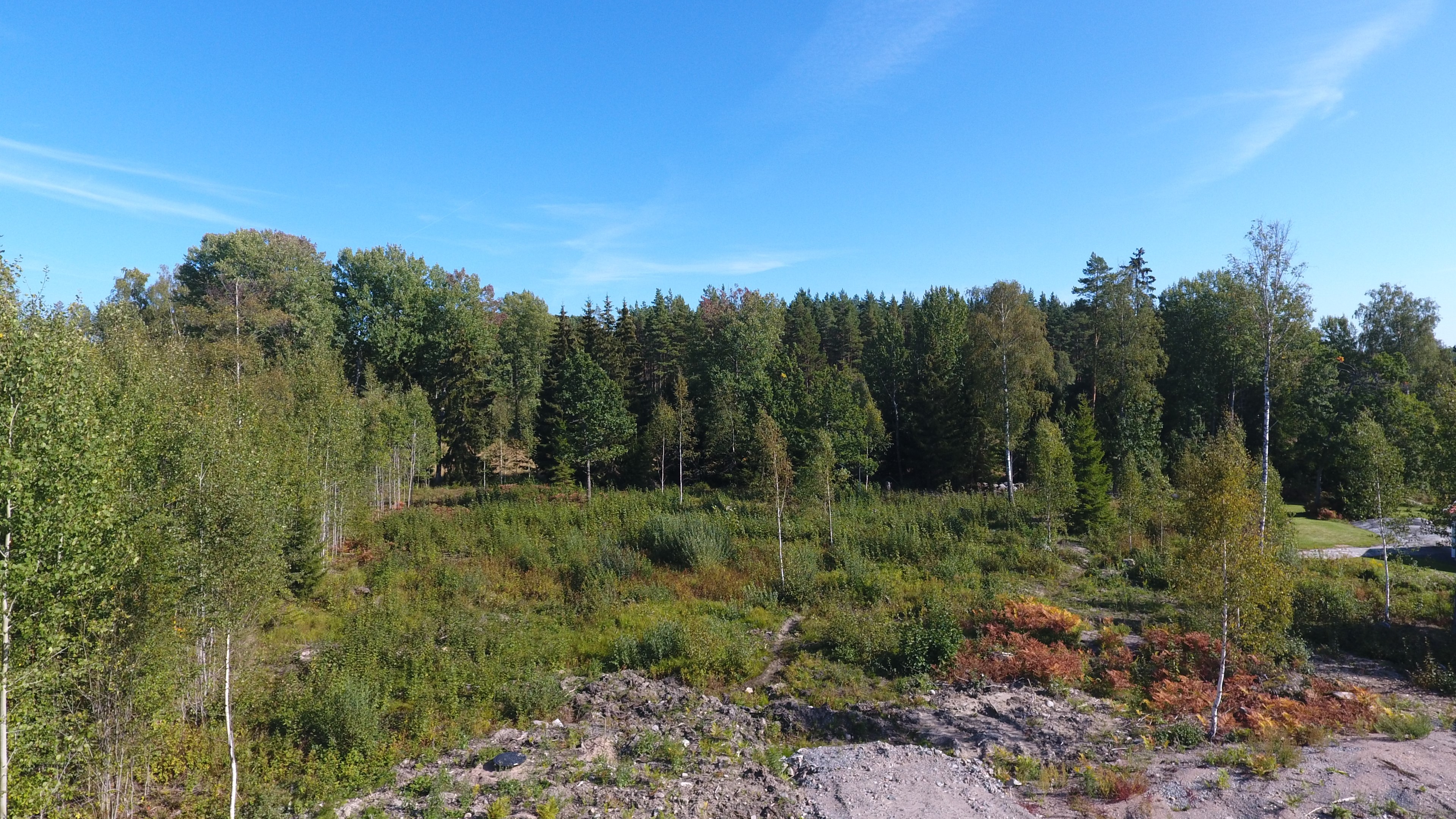Tomt 1:25 - hörntomt mot skogen