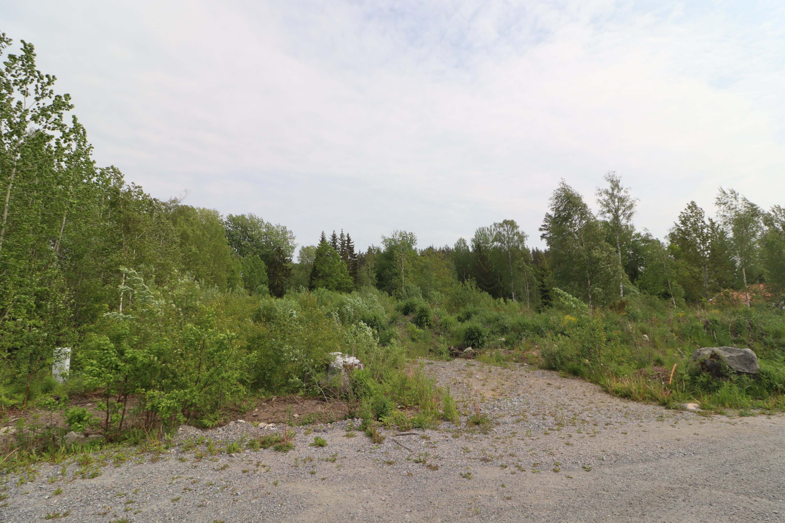 Bild 2025-06-04
