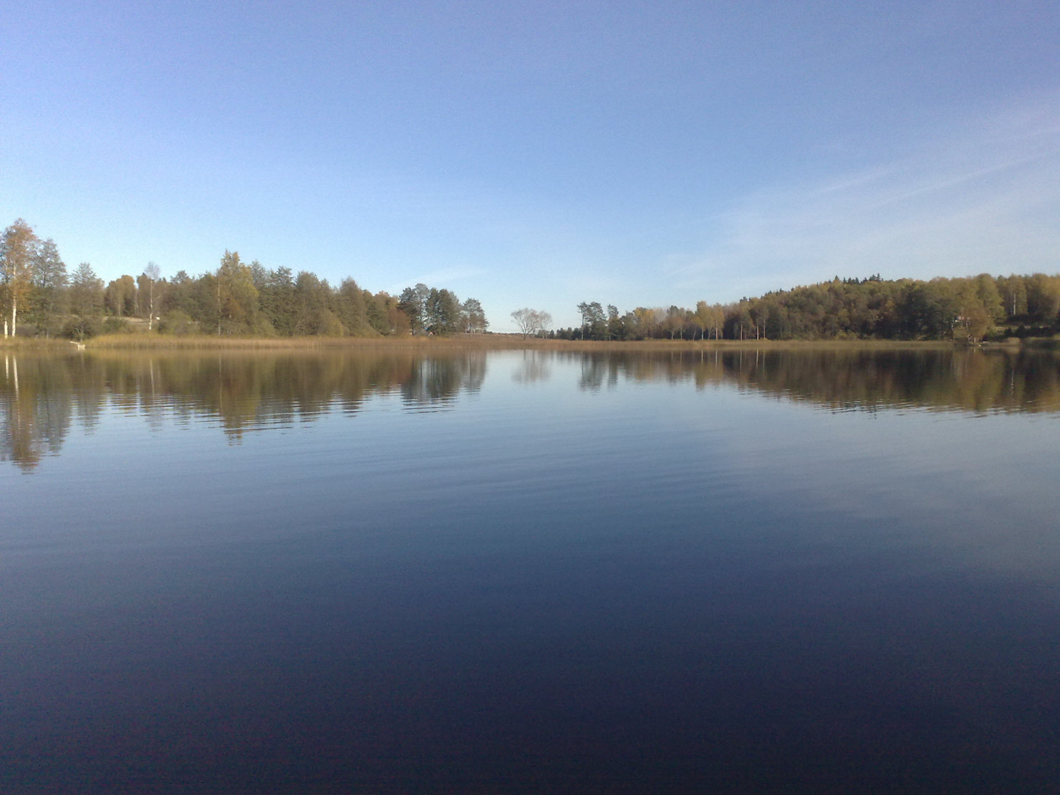 Metsjön