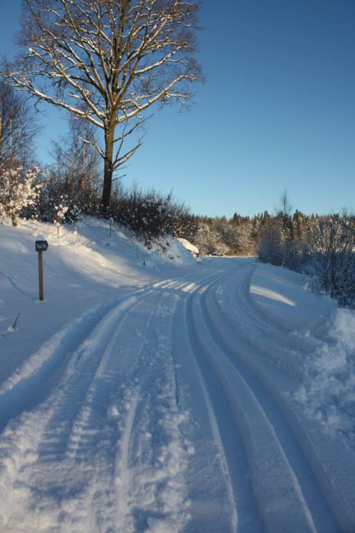 Fina skidspår på Burvik GK