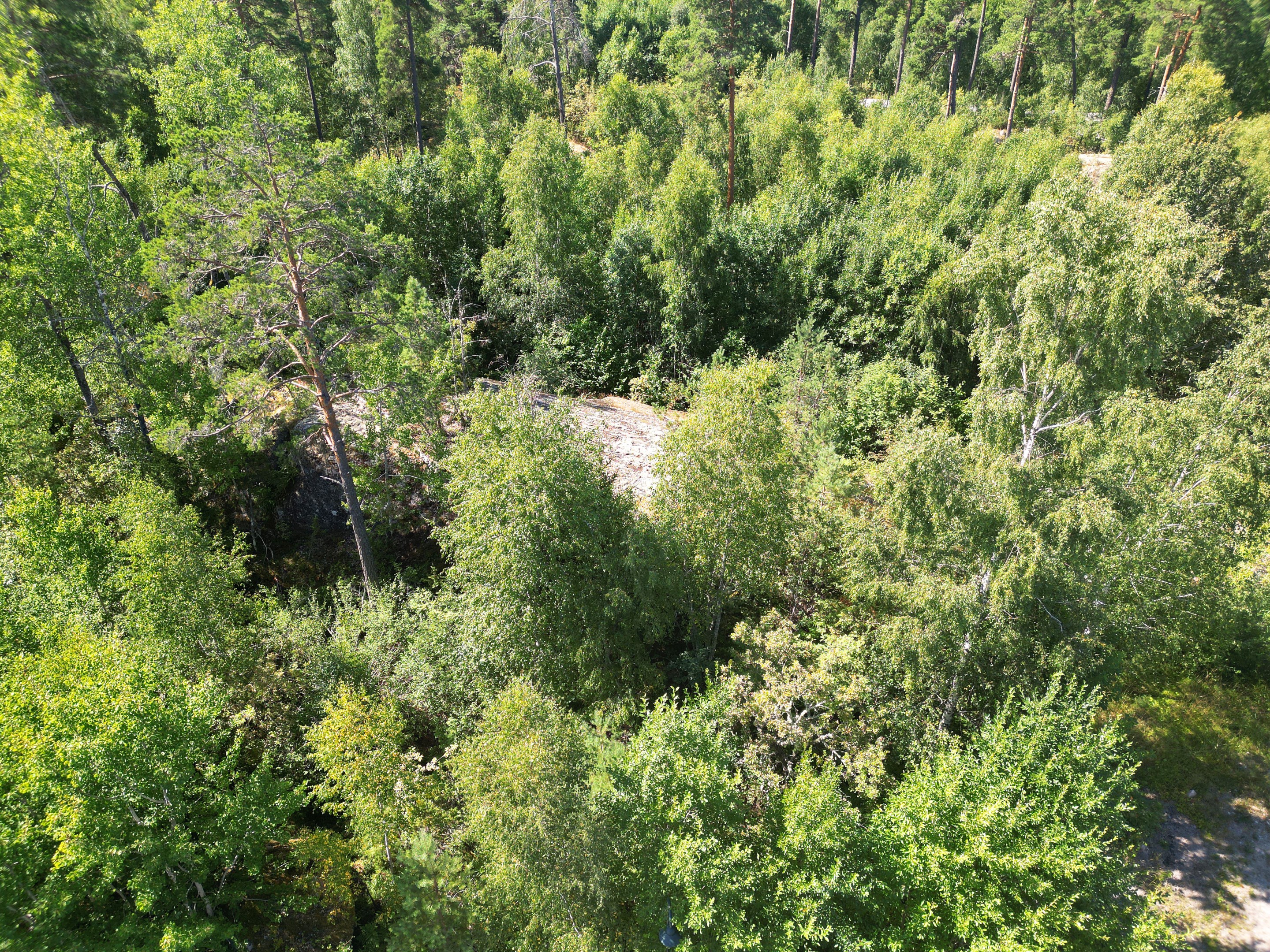 Berget