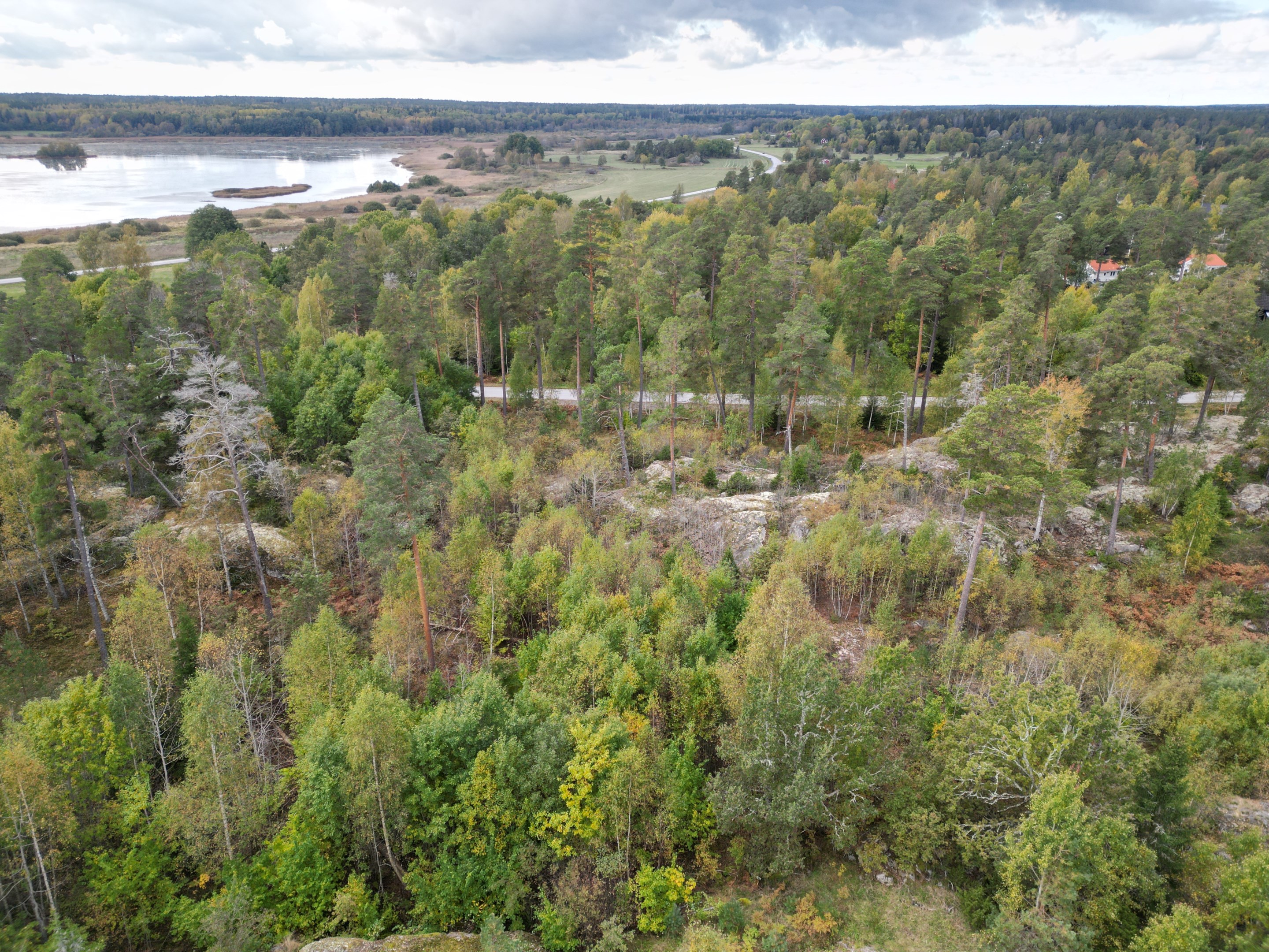 Tomten mot väster - höstbild