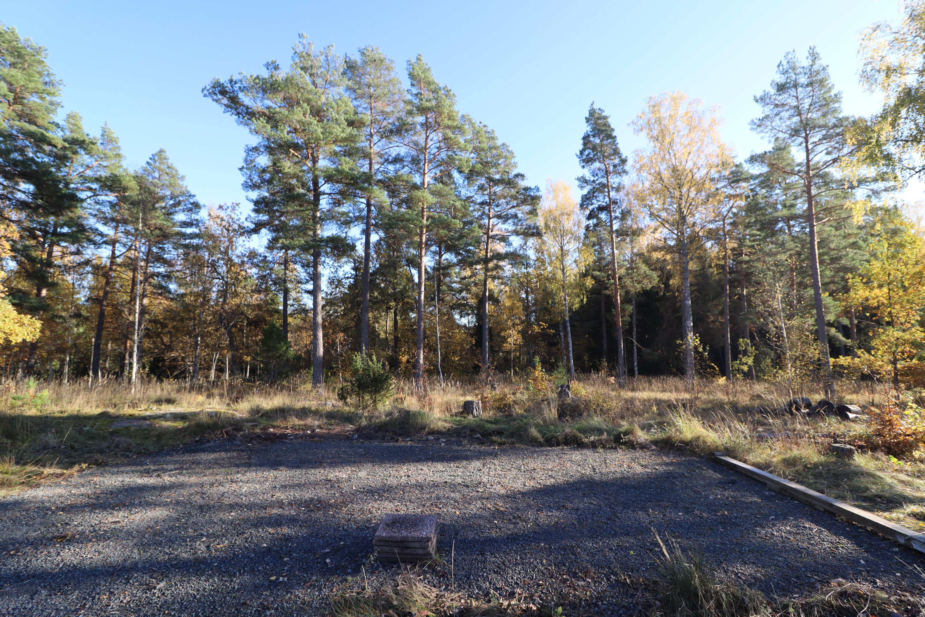 Fin natur- och skogstomt med klar parkering
