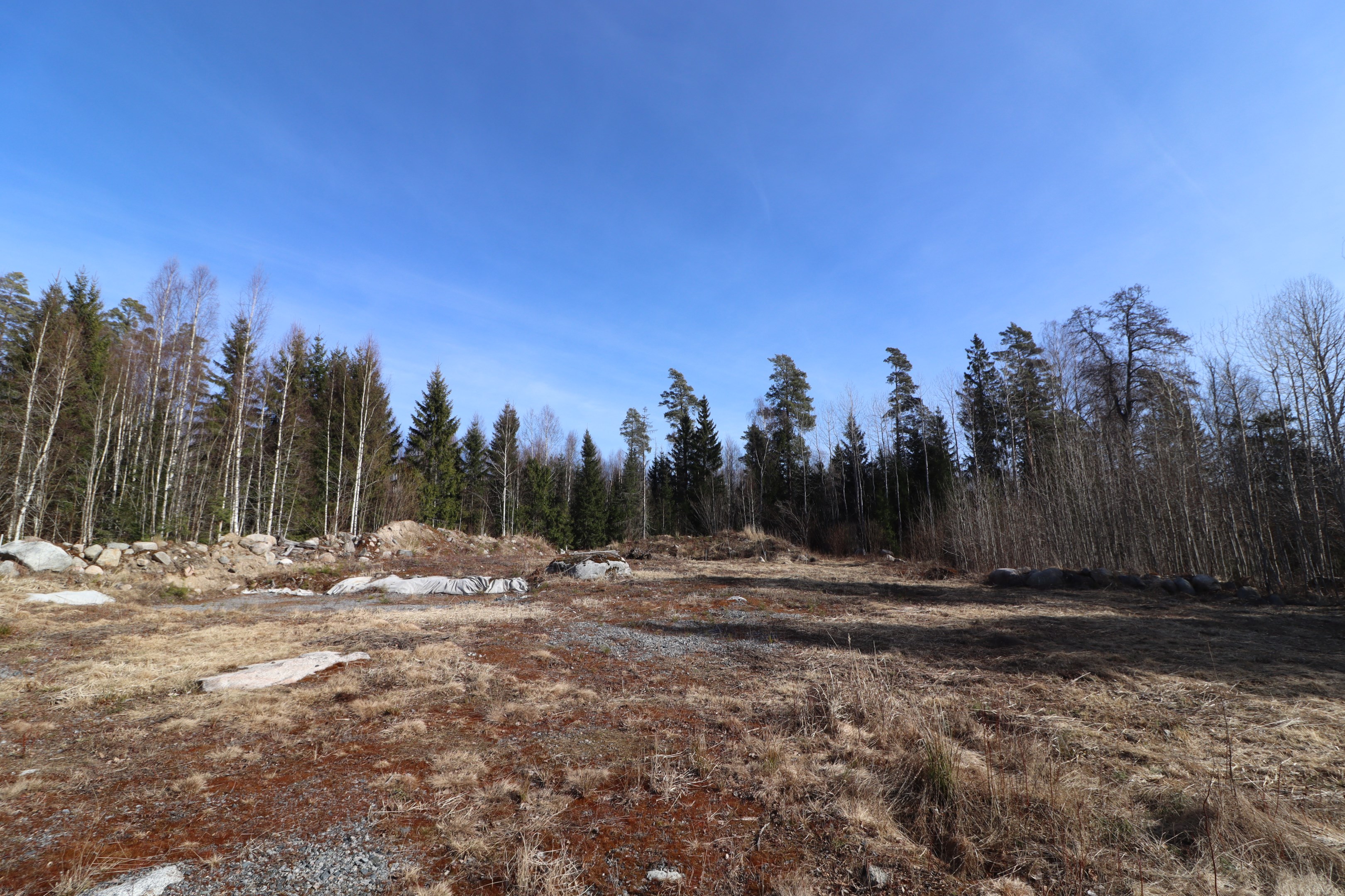 Tomten 2025-03-19