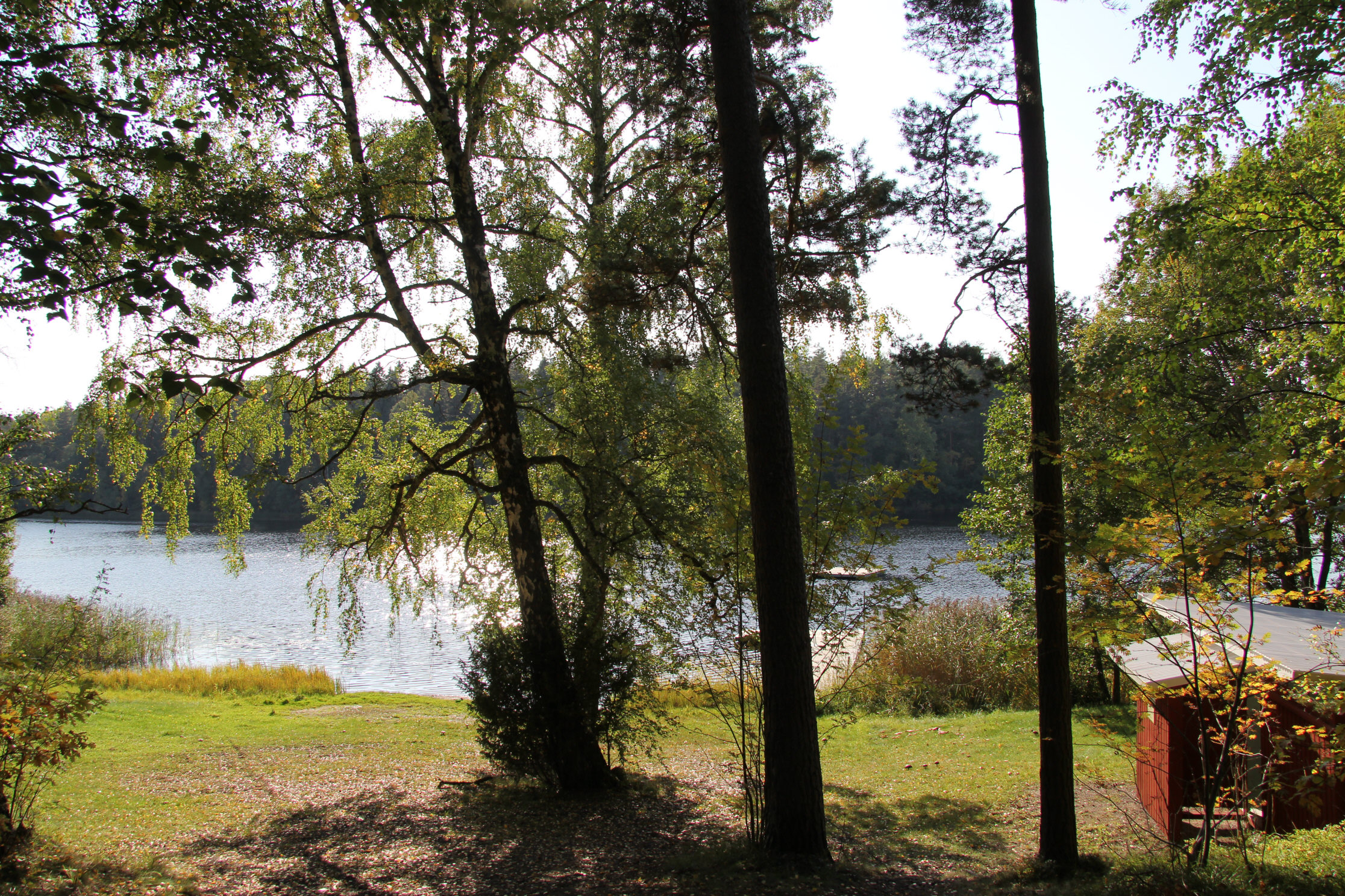Badplats Smalsjön