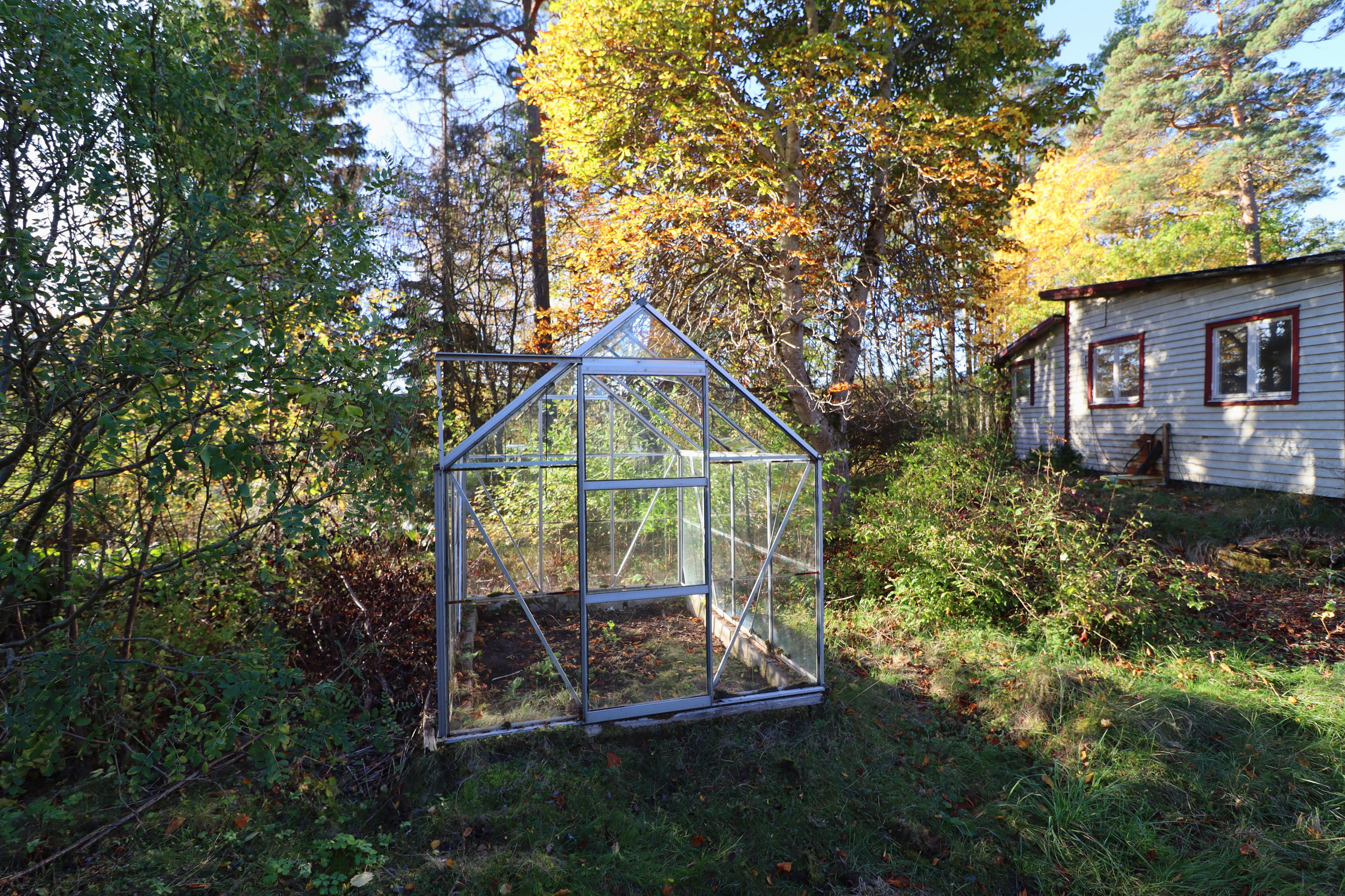 Växthus