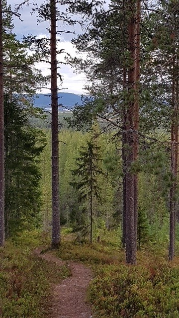 Vybild från fastigheten