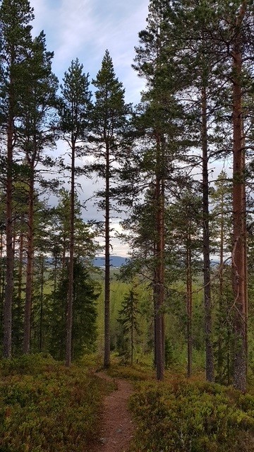 Vybild från fastigheten