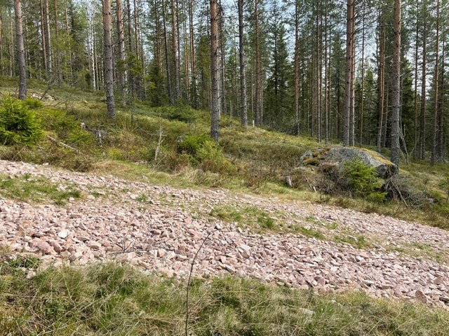 Vybild -väg