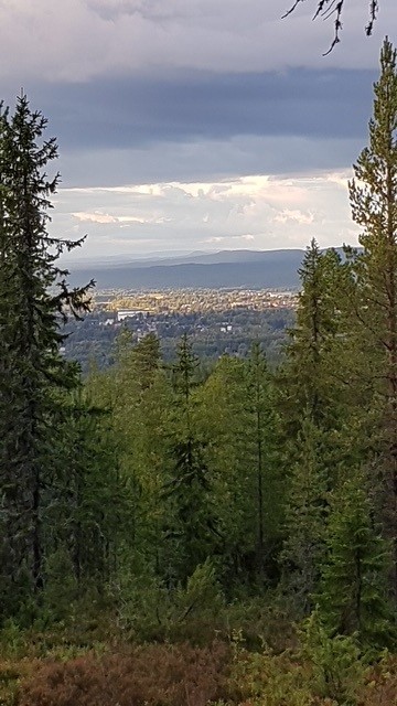 Vybild från fastigheten