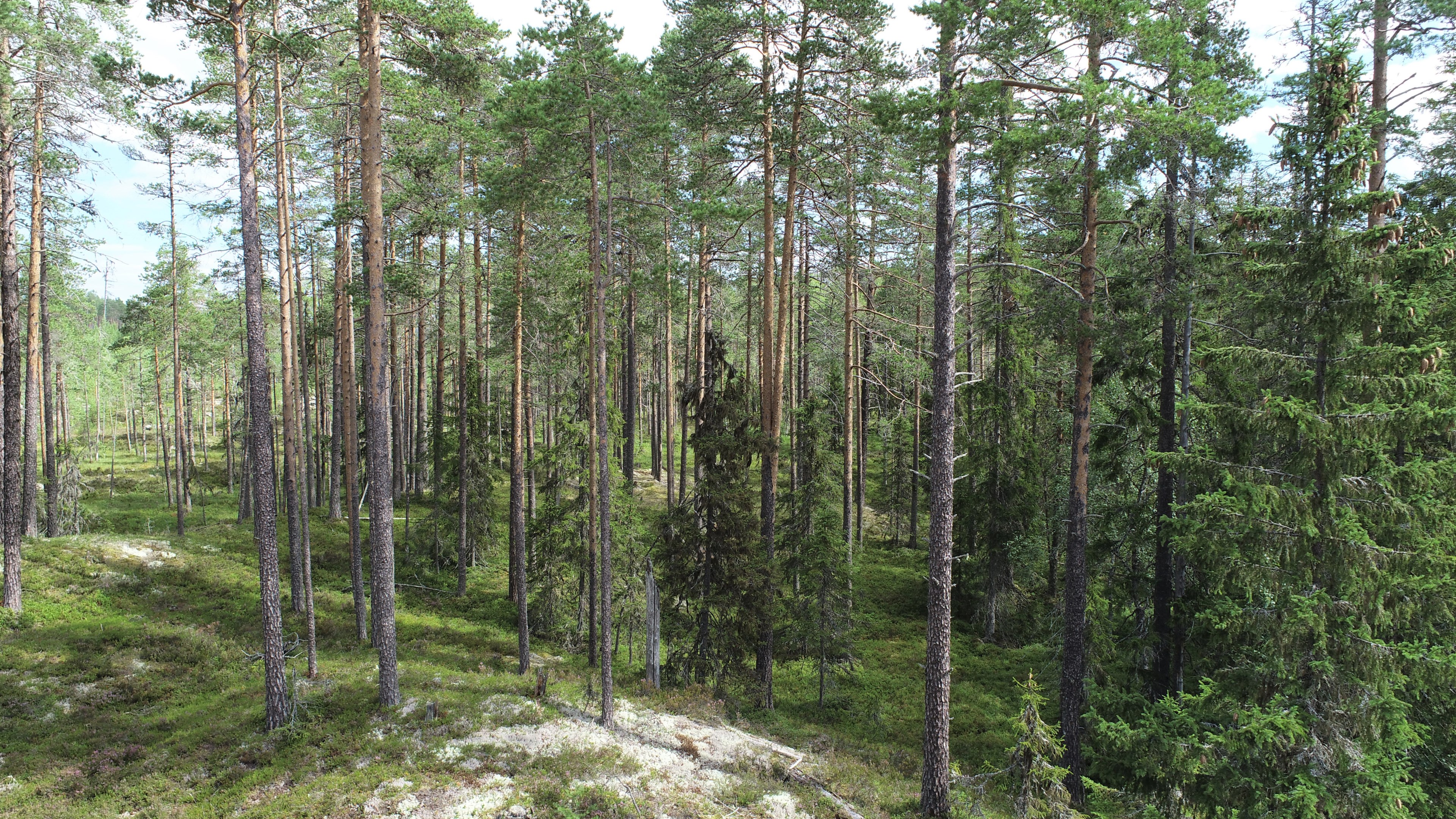 Bilden ej från objektet