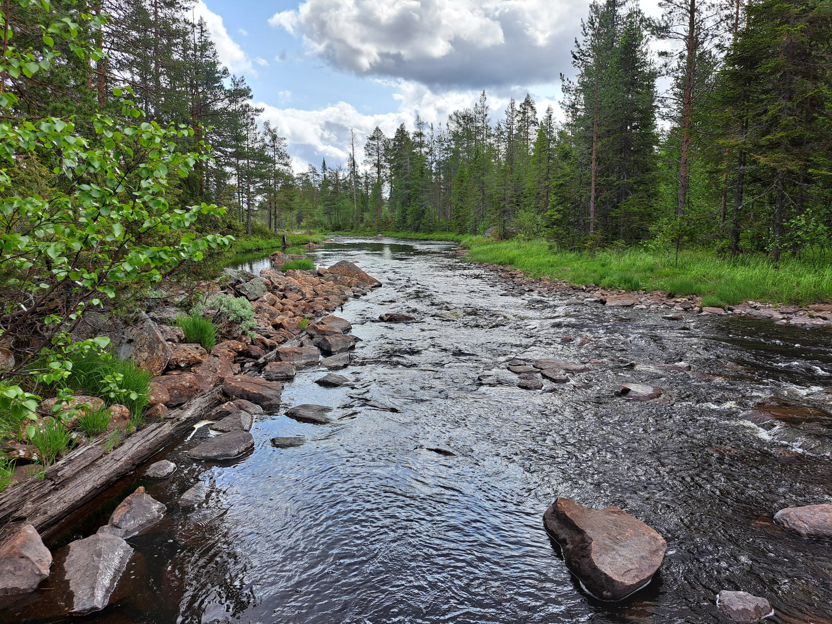 Bu 4 4 Avd 13 Almån