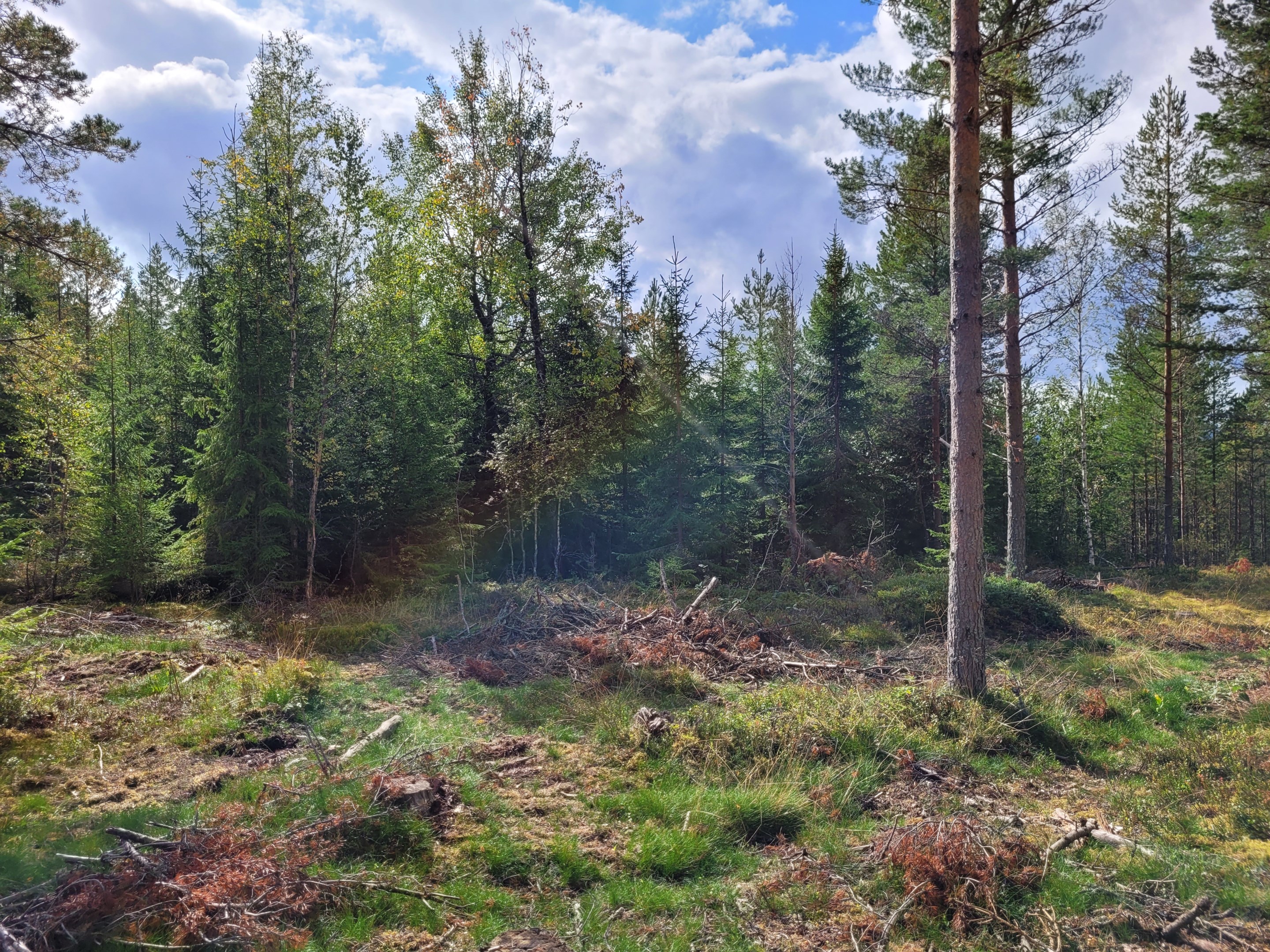 Finngruvan 10:10 västra delen