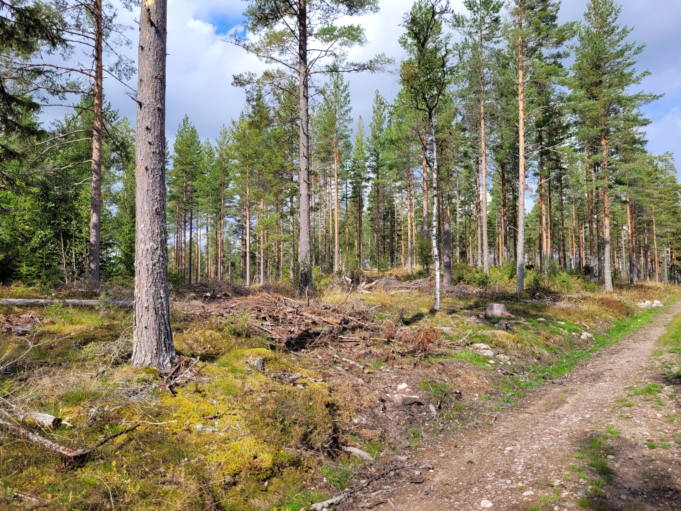 Finngruvan 10:10, västra delen