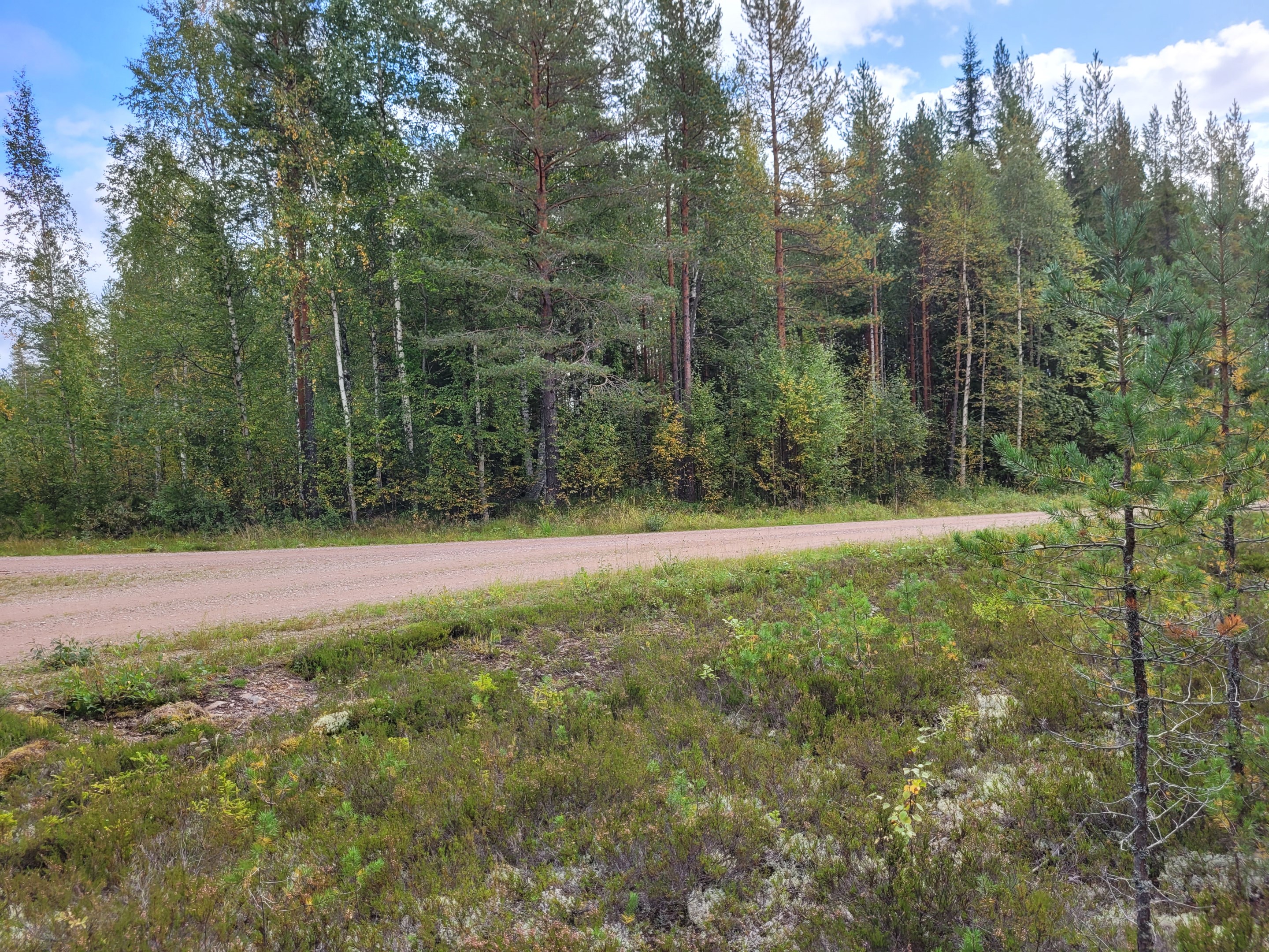 Finngruvan 10:10, skifte 2