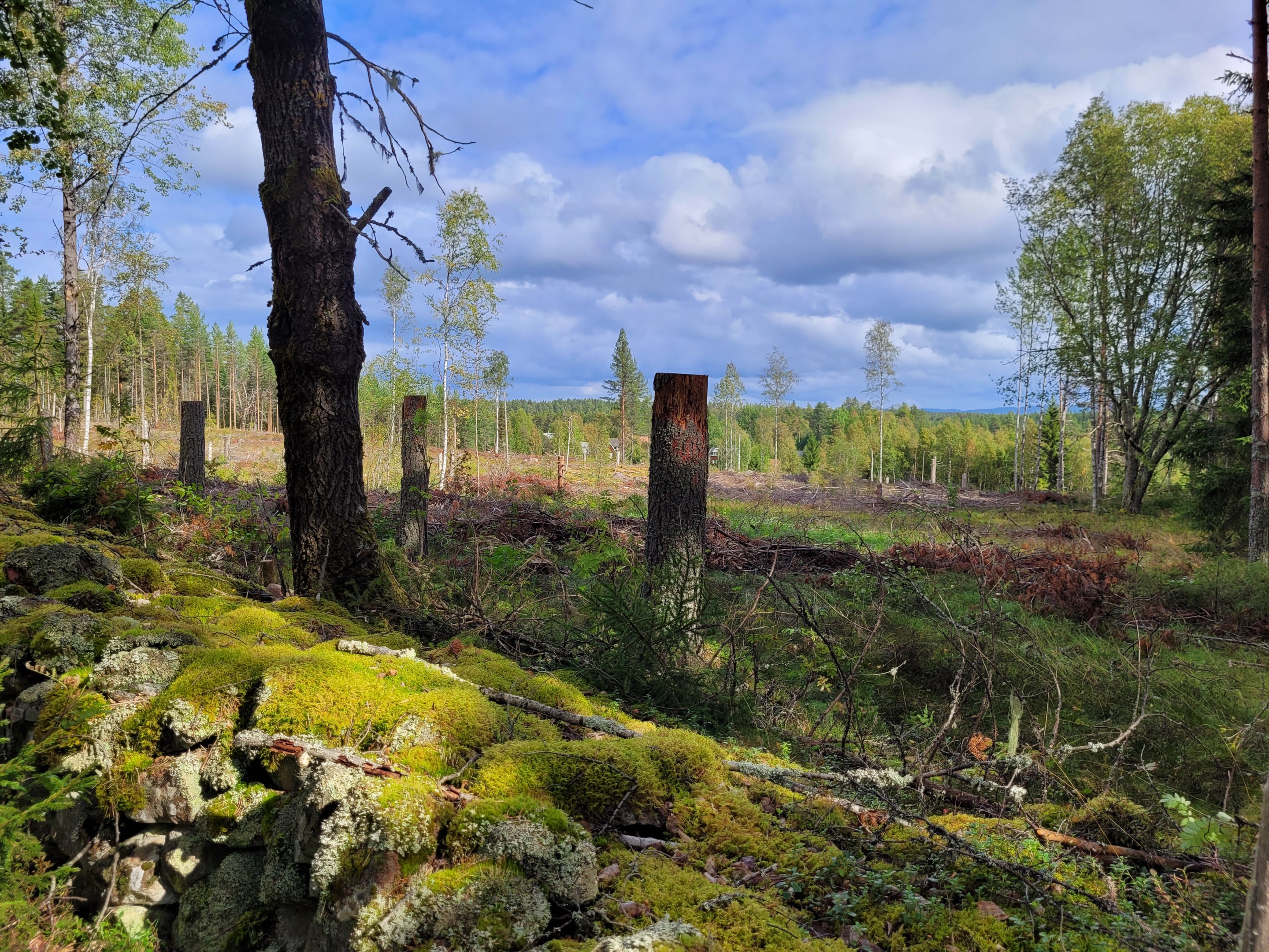 Finngruvan 10:10, östra delen