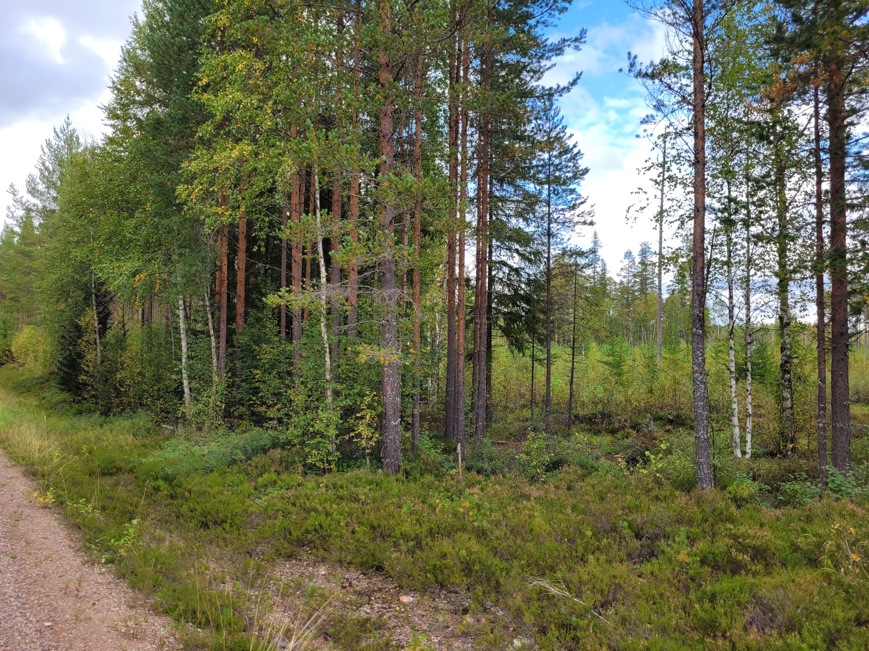 Finngruvan 10:10, Skifte 2, från södra spetsen och nordost